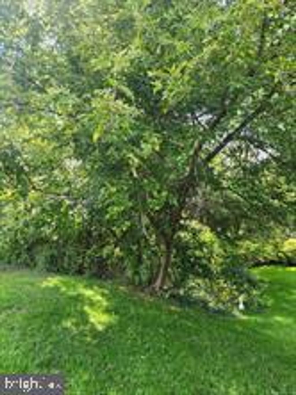 Photo of 0 Joppa Road, YORK, PA 17403 (MLS # PAYK2097452)