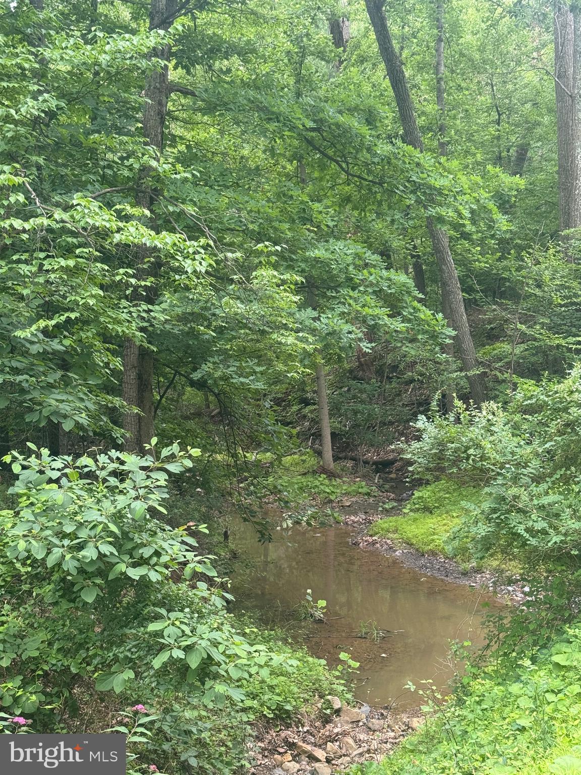Lot 34 AUDUBON RD