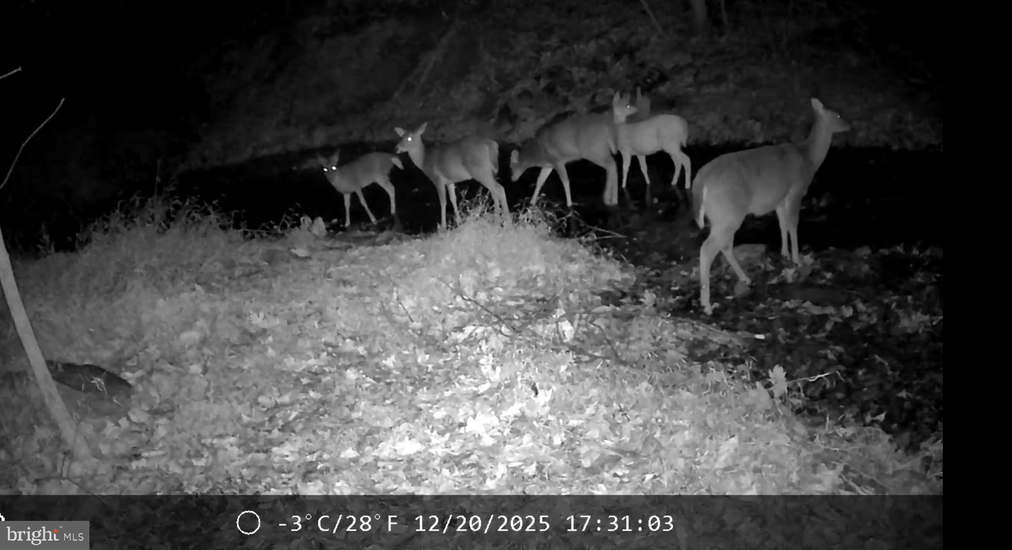 Lot 34 AUDUBON RD
