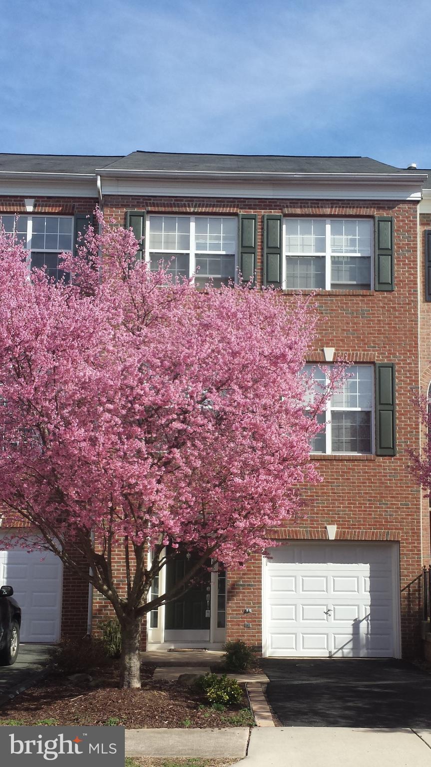 BRAEMAR - Residential