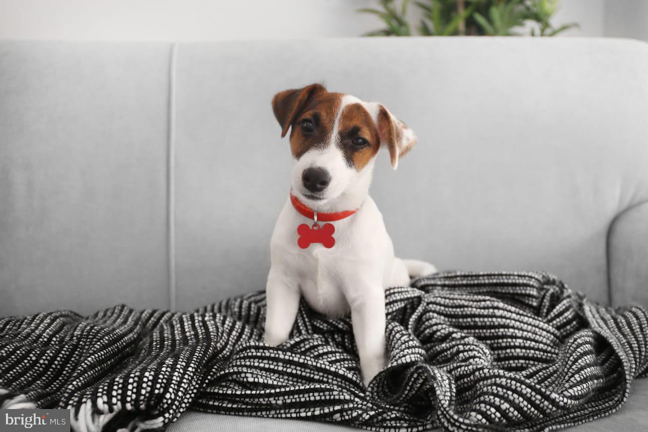 WASHINGTON SQ - Residential Lease