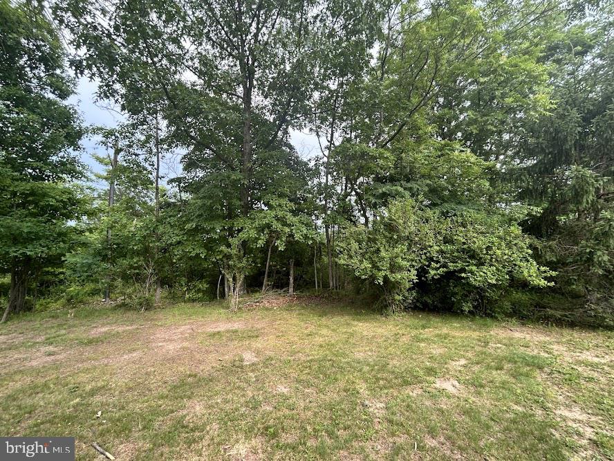 Lot A MARTINSBURG ROAD