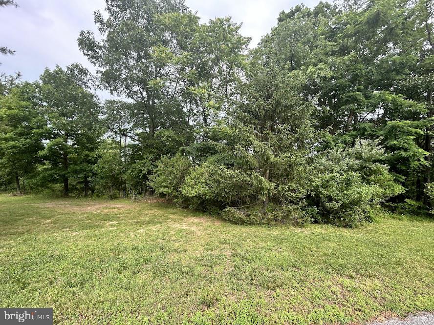 Lot A MARTINSBURG ROAD