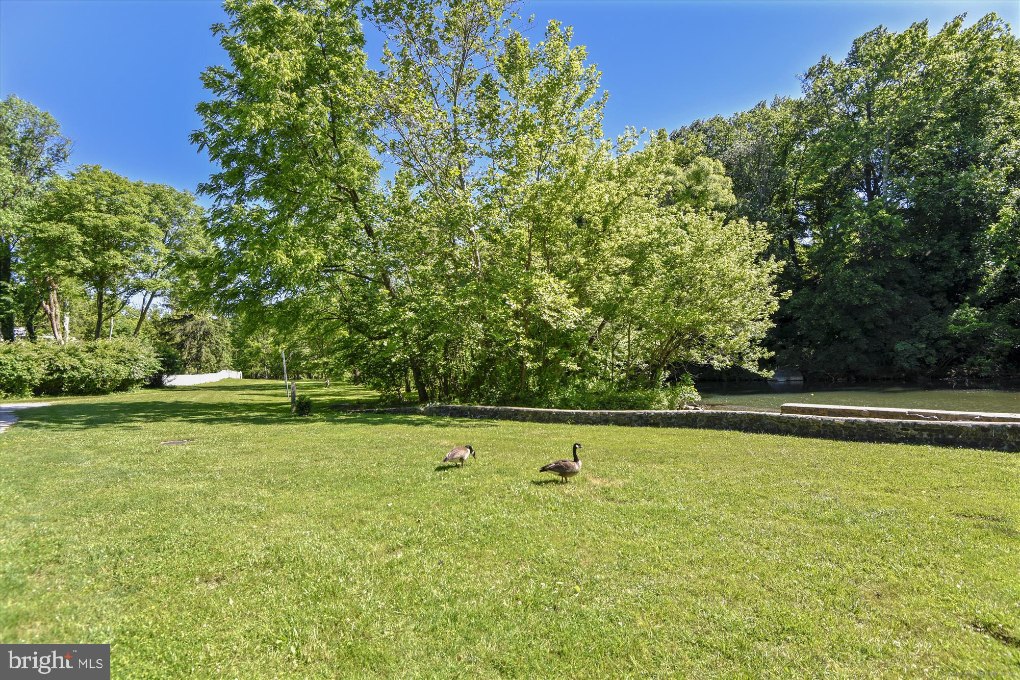 FOREST PARK - Residential