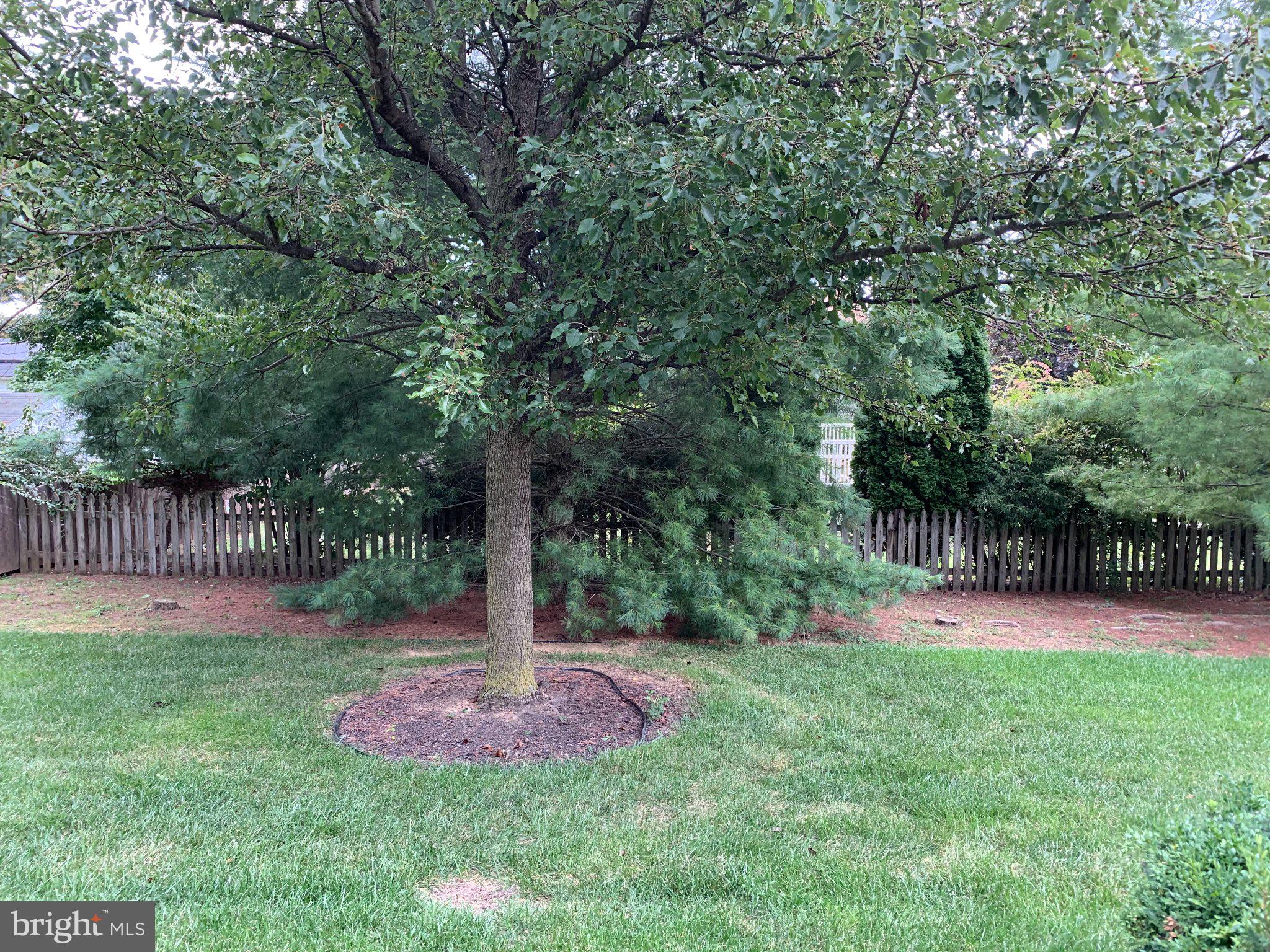1850 MERIDIAN DRIVE