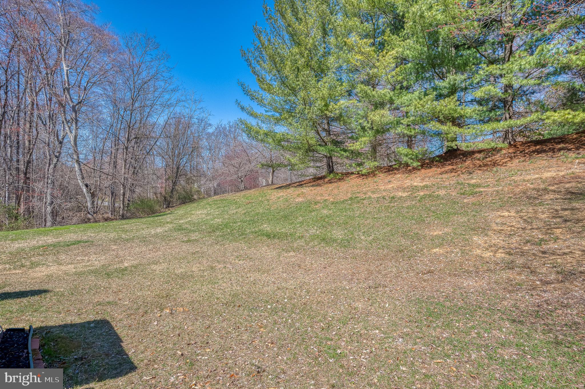 VILLAGE AT THOMAS RUN - Residential