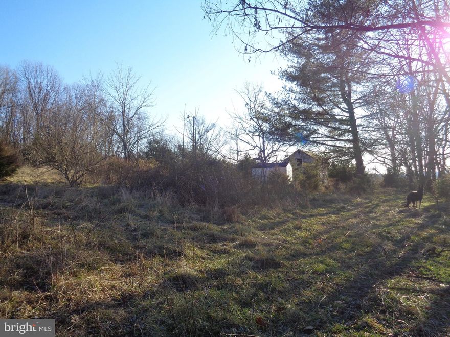 Imagine your dream home on this beautiful lot located within minutes of the National Forest.  Outstanding views facing South/Southwest.  Enjoy every sunset with the vivid colors painting the skies.  5.6 acres, electric at property,  Existing building on property is not habitable --do not enter.   Birds galore and meadering deer and other wildlife wander through.  This is a gorgeous, one of a kind property.