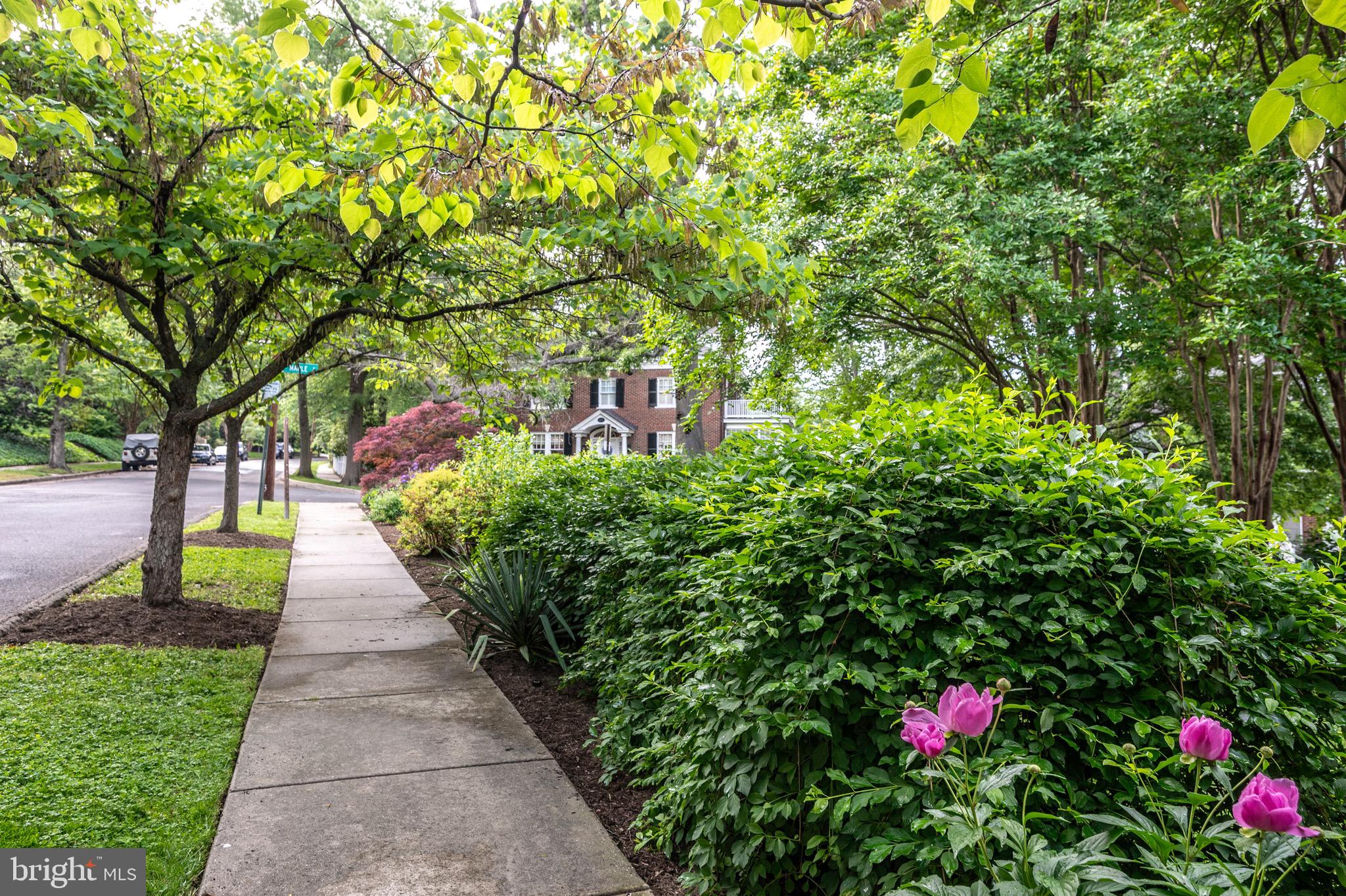 ROSEMONT - Residential