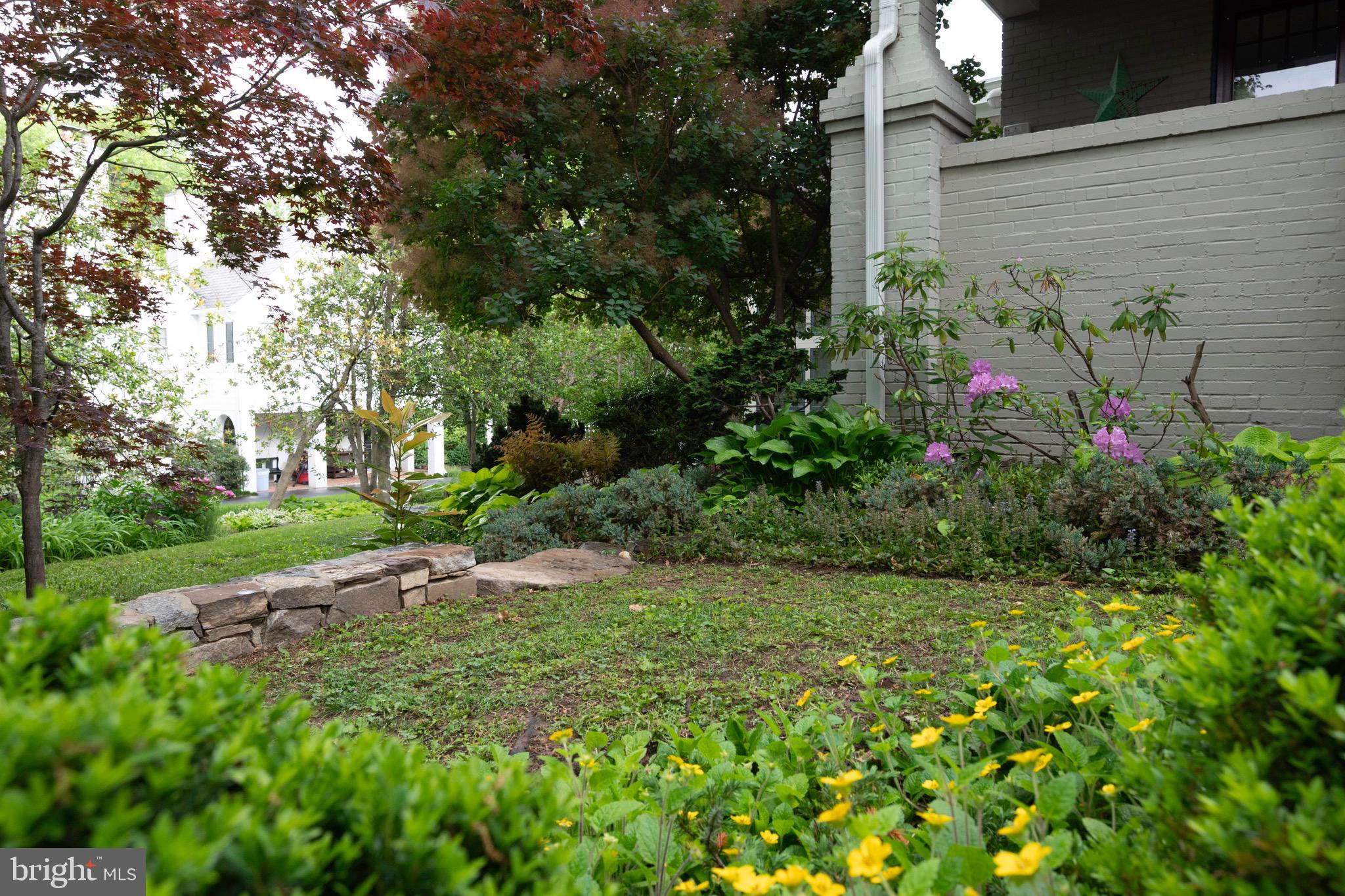 ROSEMONT - Residential