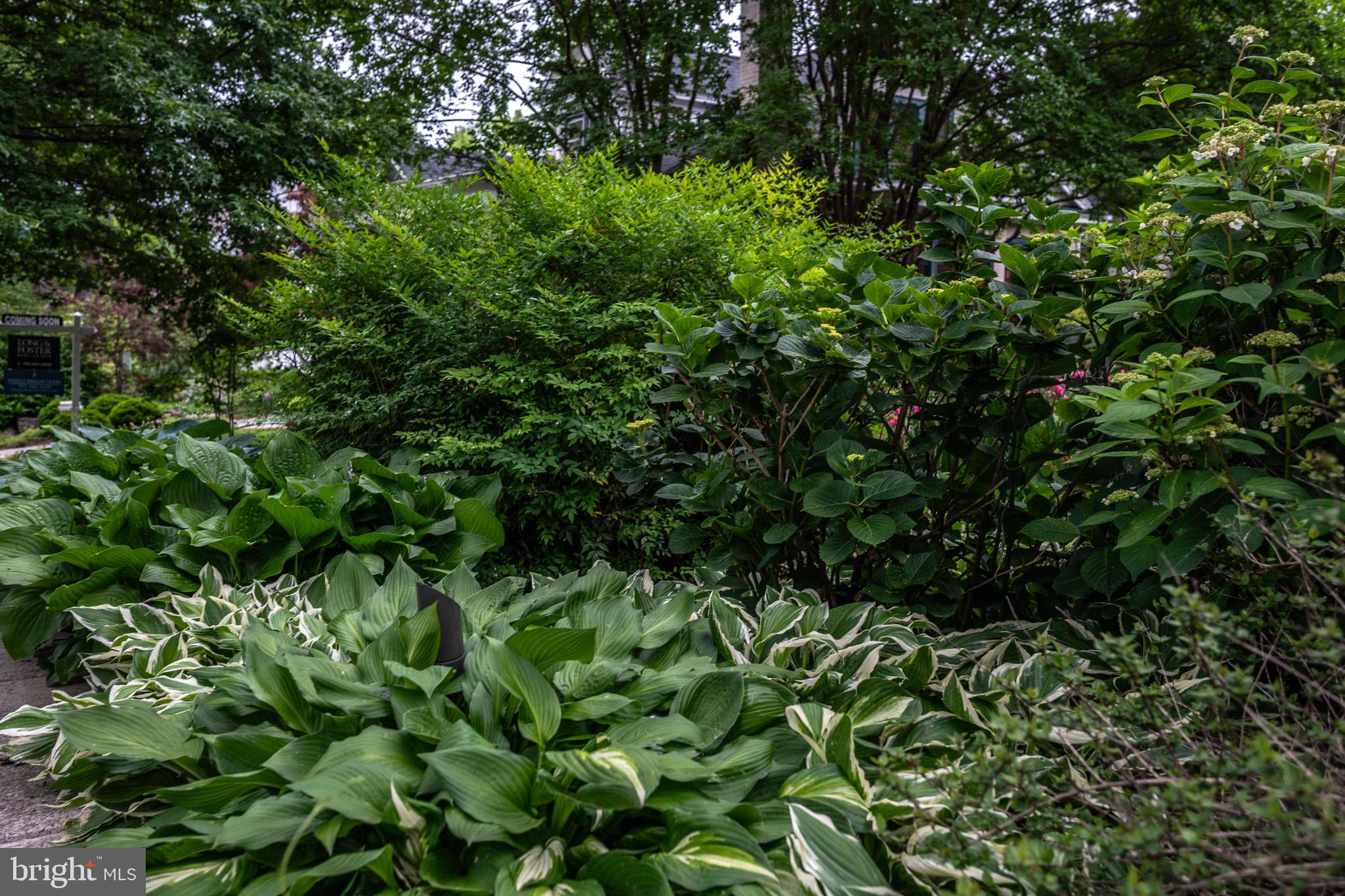 ROSEMONT - Residential