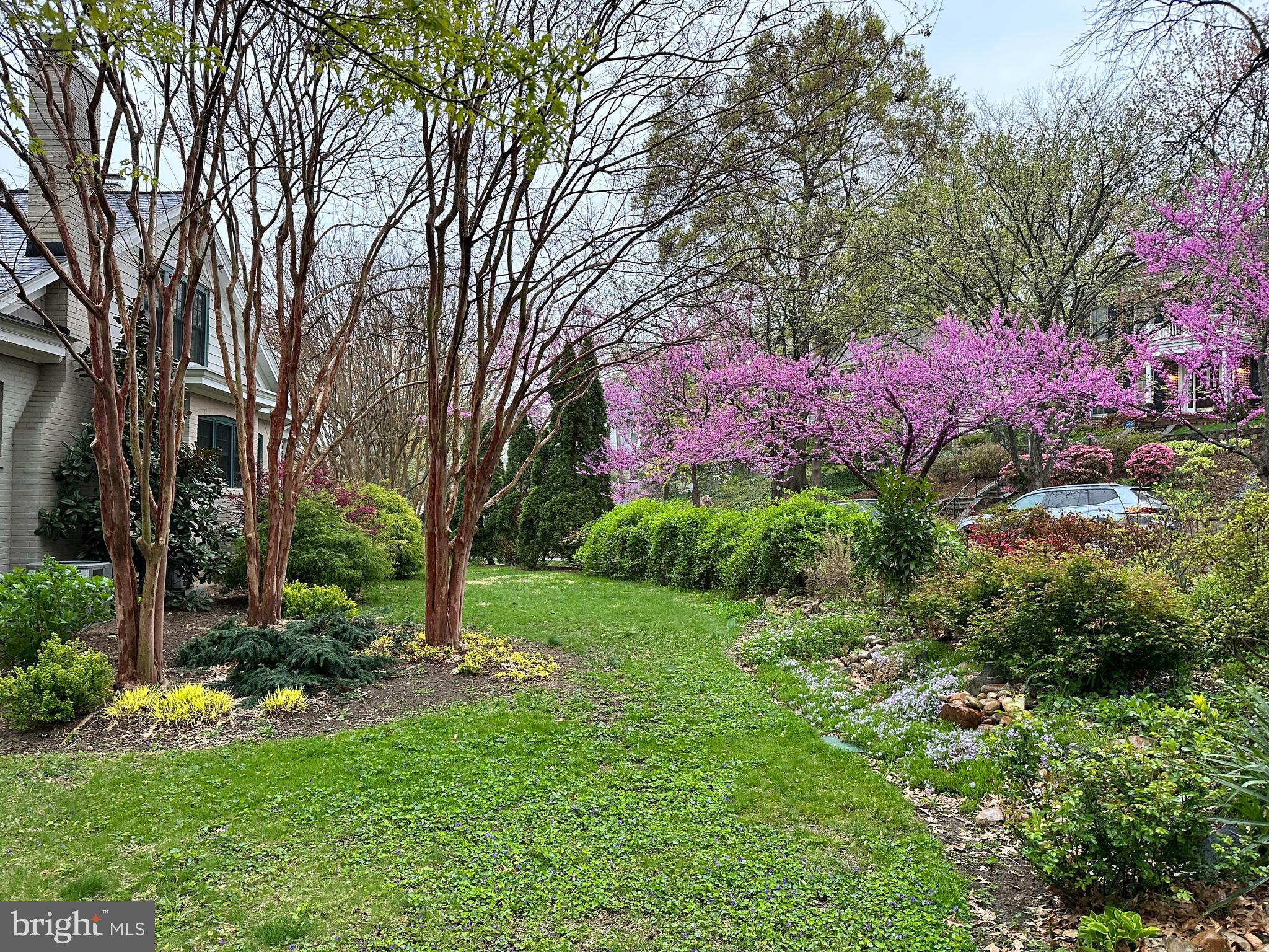 ROSEMONT - Residential