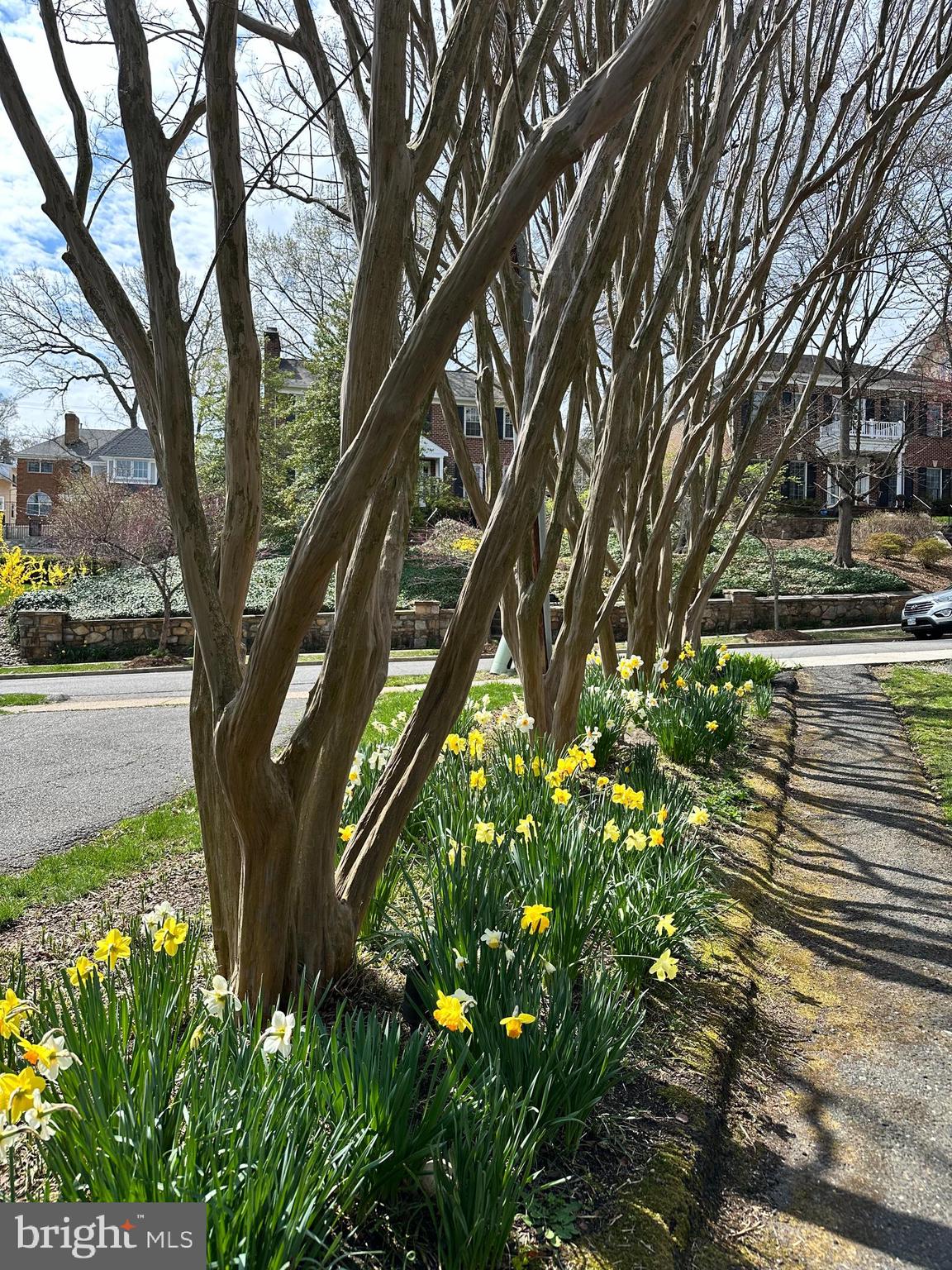 ROSEMONT - Residential