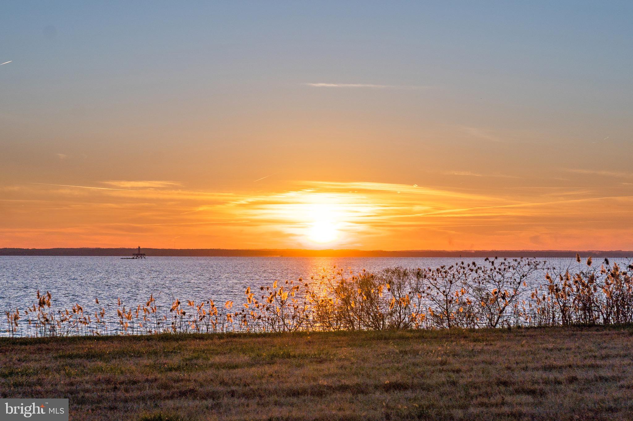 BUSHWOOD - Residential