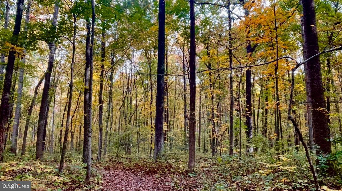 BETHESDA COURT - Residential