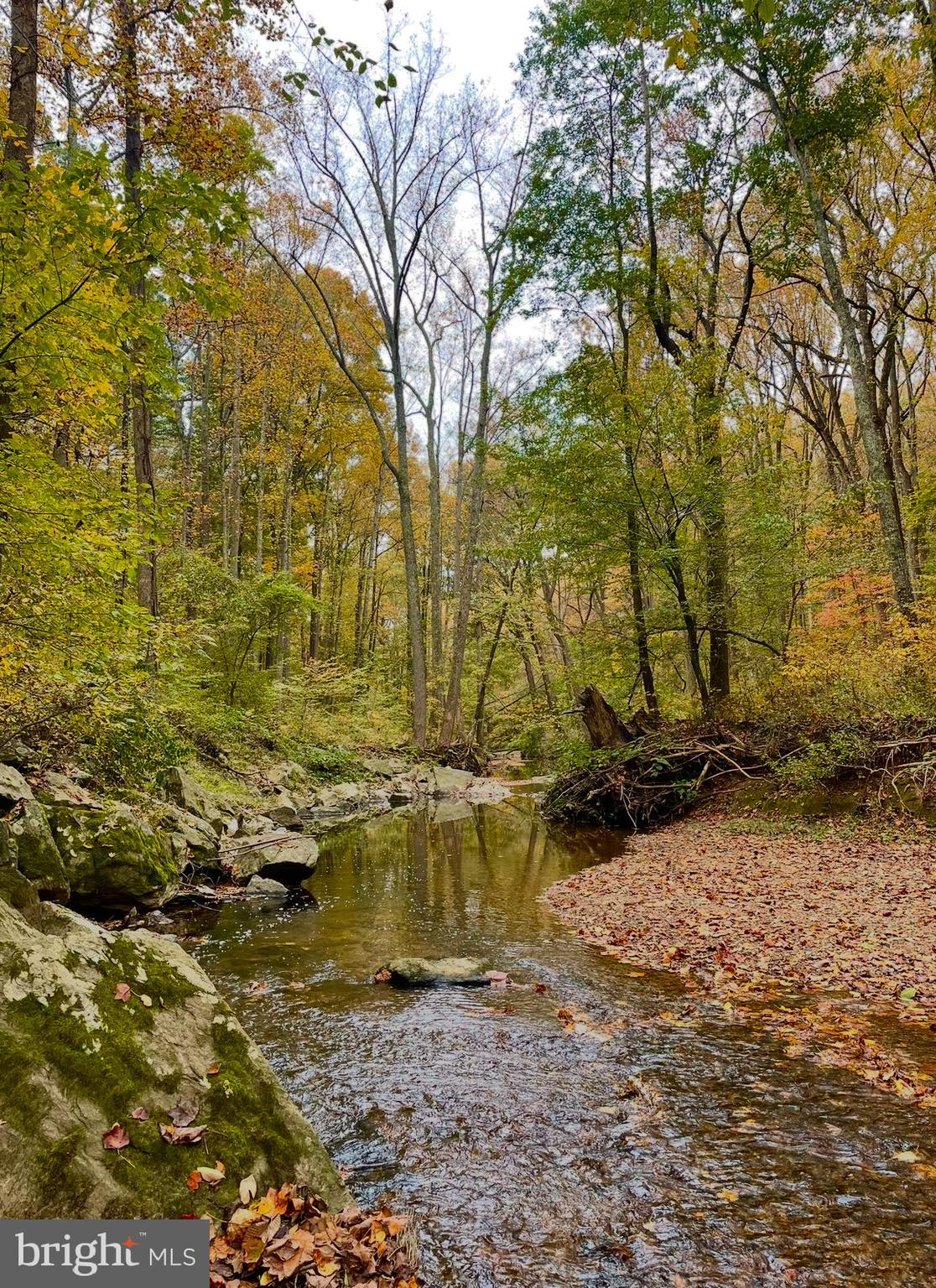 BETHESDA COURT - Residential