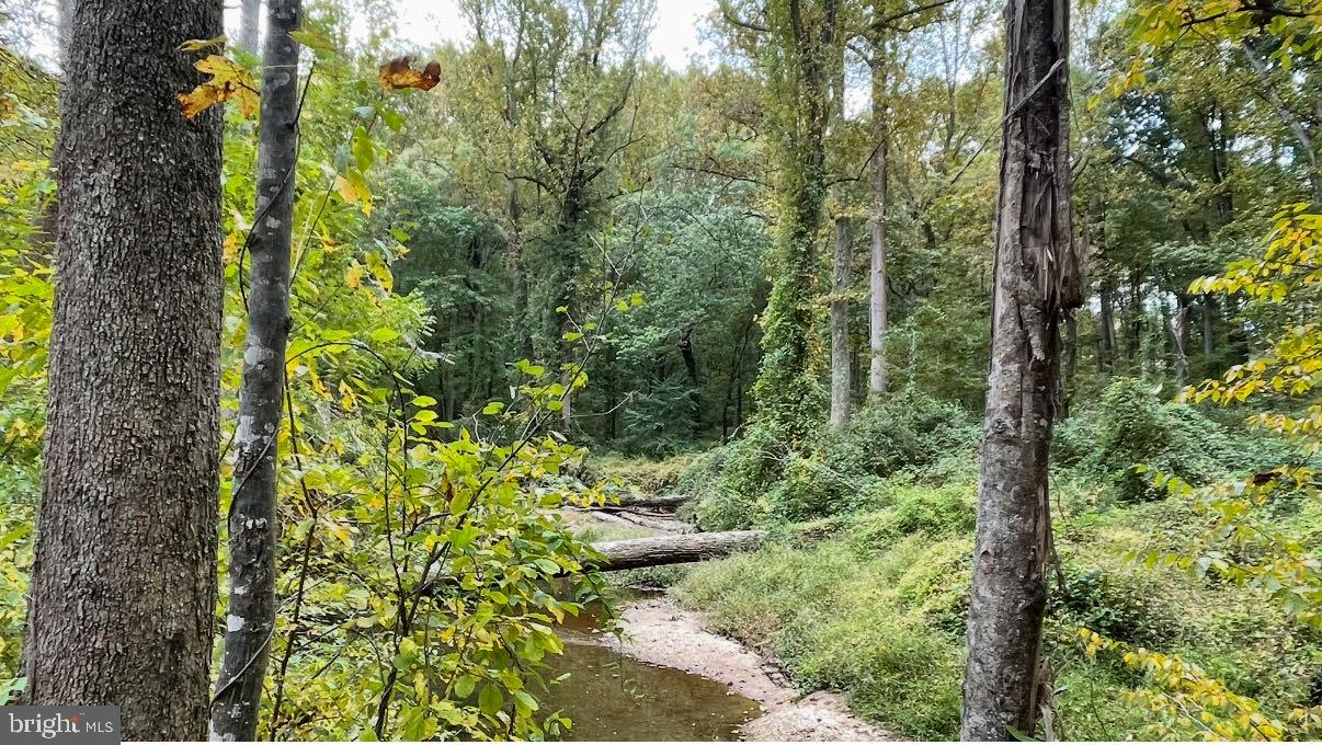 BETHESDA COURT - Residential