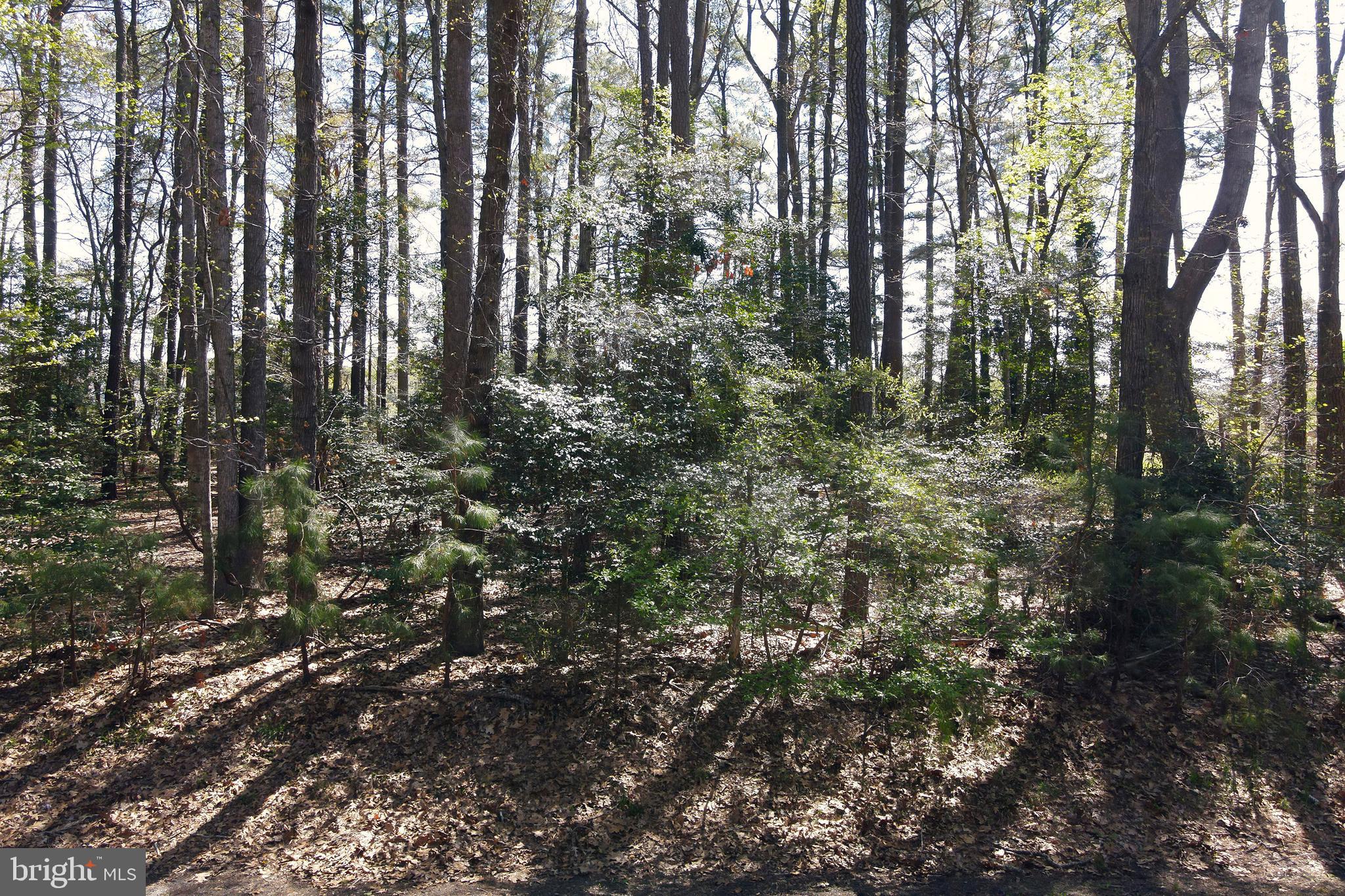 CAPTAIN'S COVE - Land