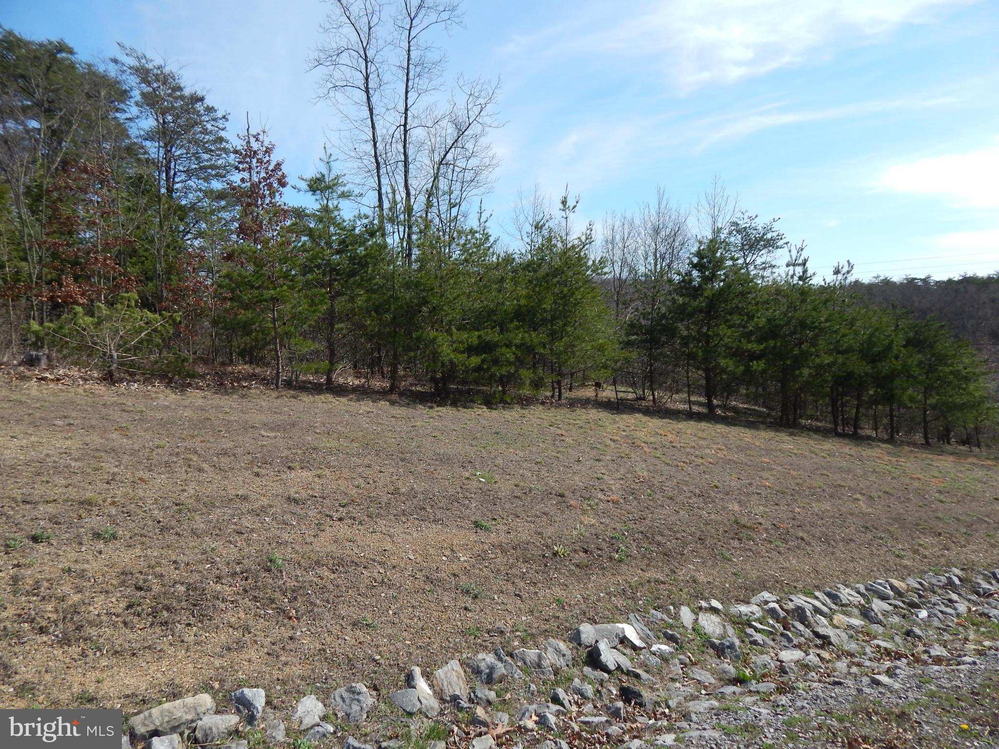 CACAPON SOUTH - Land