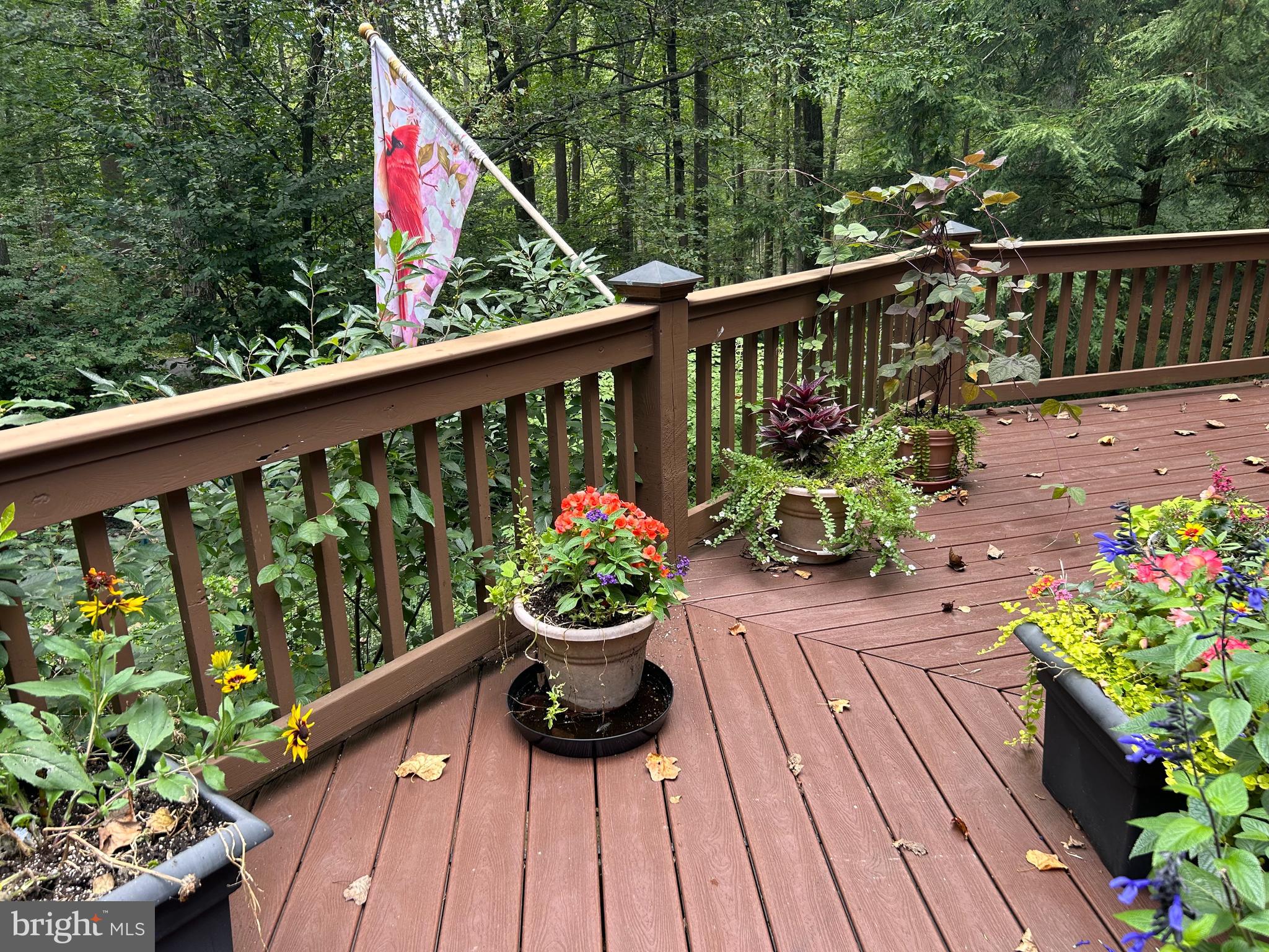 SPRING HILL ACRES - Residential