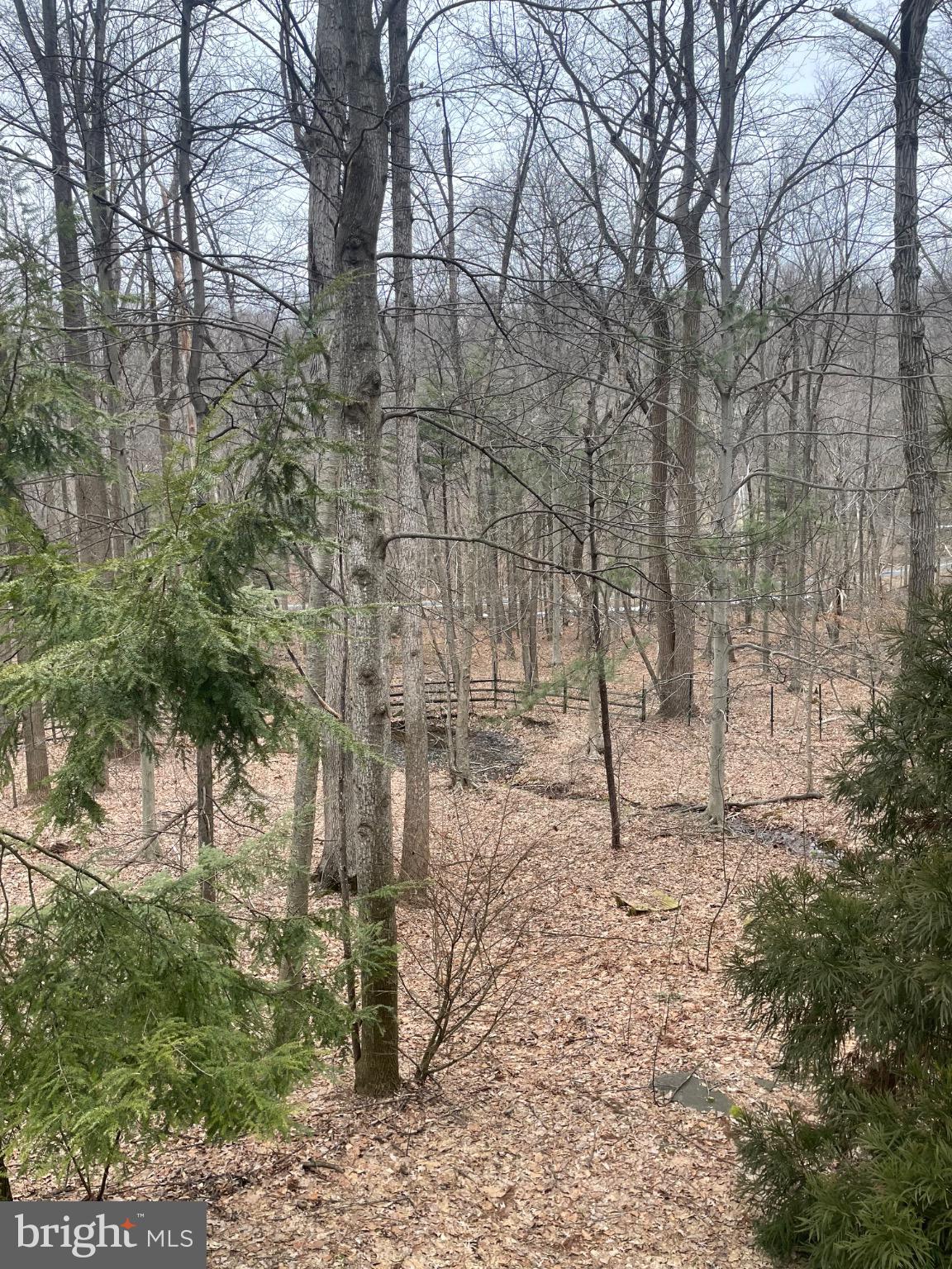 SPRING HILL ACRES - Residential