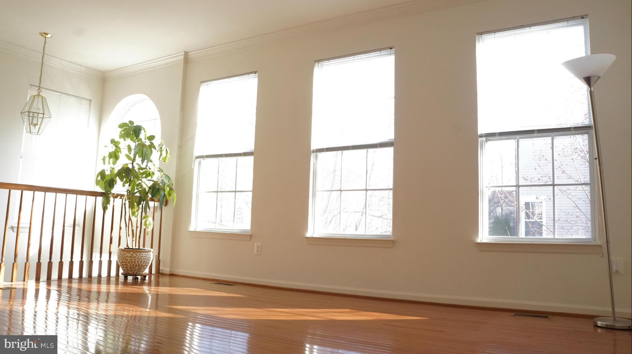 RIDGE TOP TERRACE - Residential