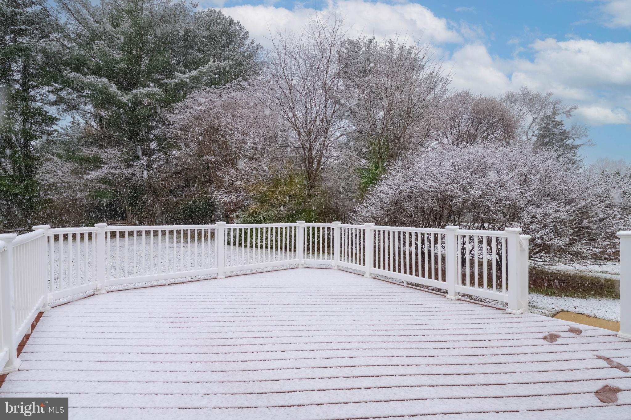 BOX HILL NORTH - Residential