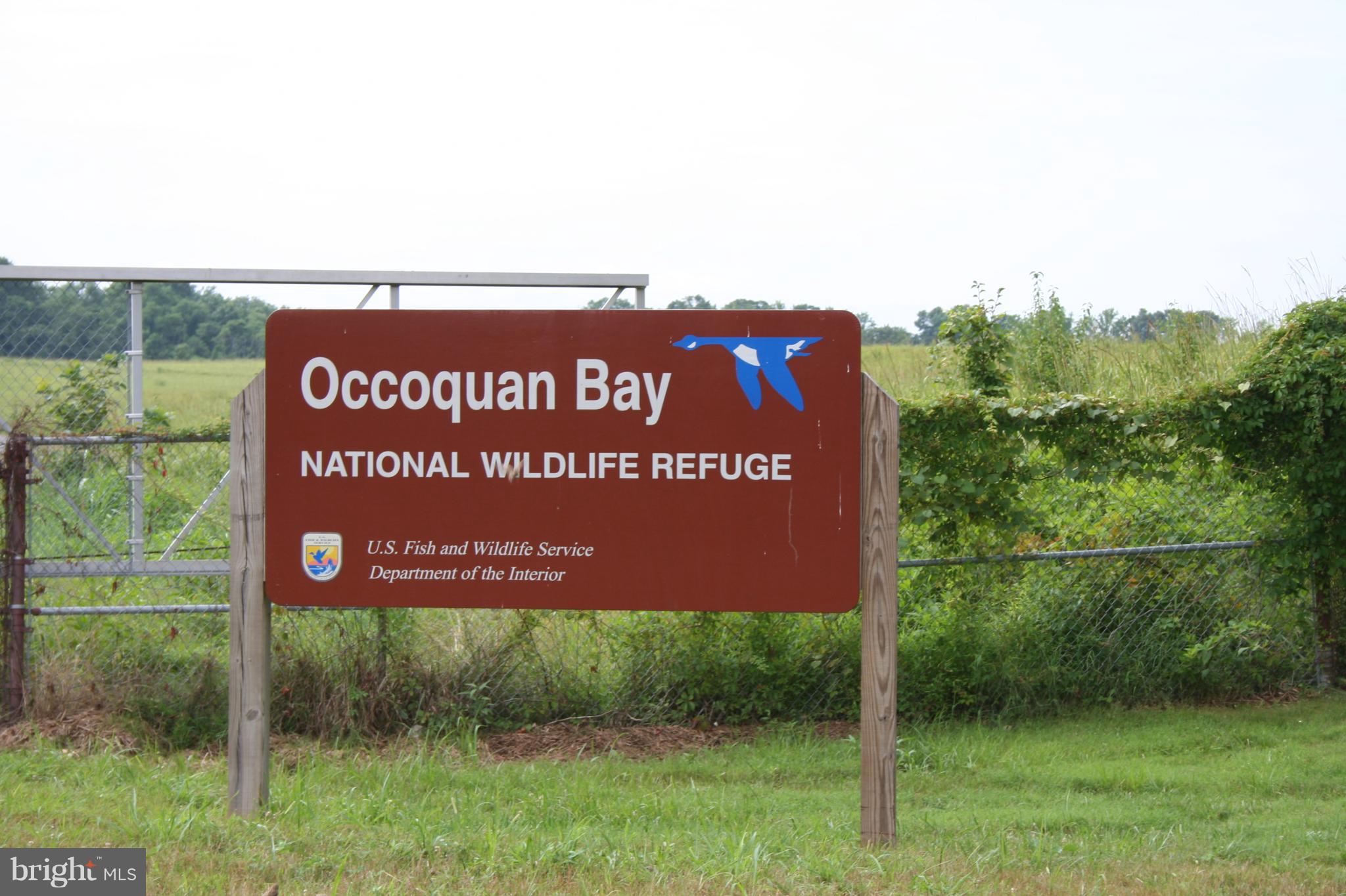 BELMONT BAY - Residential Lease