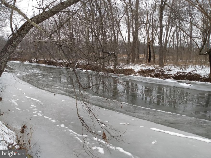 Peaceful Sleepy Creek, with nearly 1/2 mile of serene river frontage this 40 acre wonderland will surpass your expectations! A mixture of lowland with established trails meandering through passing streams and a small pond, this is truly a wildlife heaven, there is an older cabin area with the structures still very usable with some improvements, an older well is also at that site. Higher land is also very accessible for building that dream home or cabin.  Electricity is available on the property, No restrictions, No HOA. All this is just 4 miles from Berkeley Spring with good  roads right to the land.