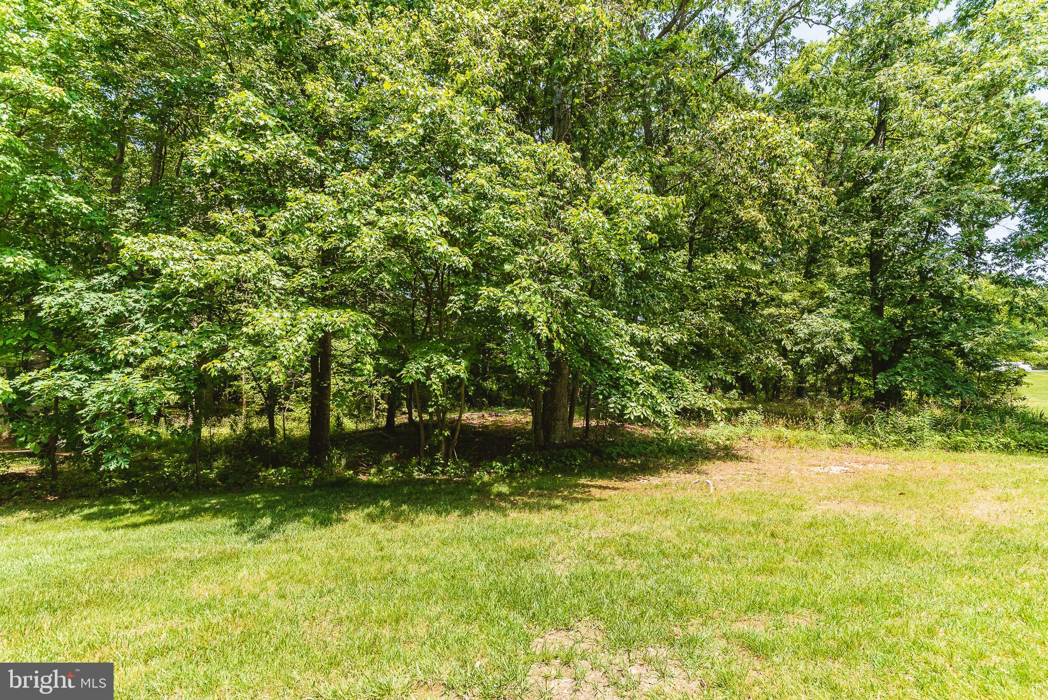 CYPRESS HILLS - Residential