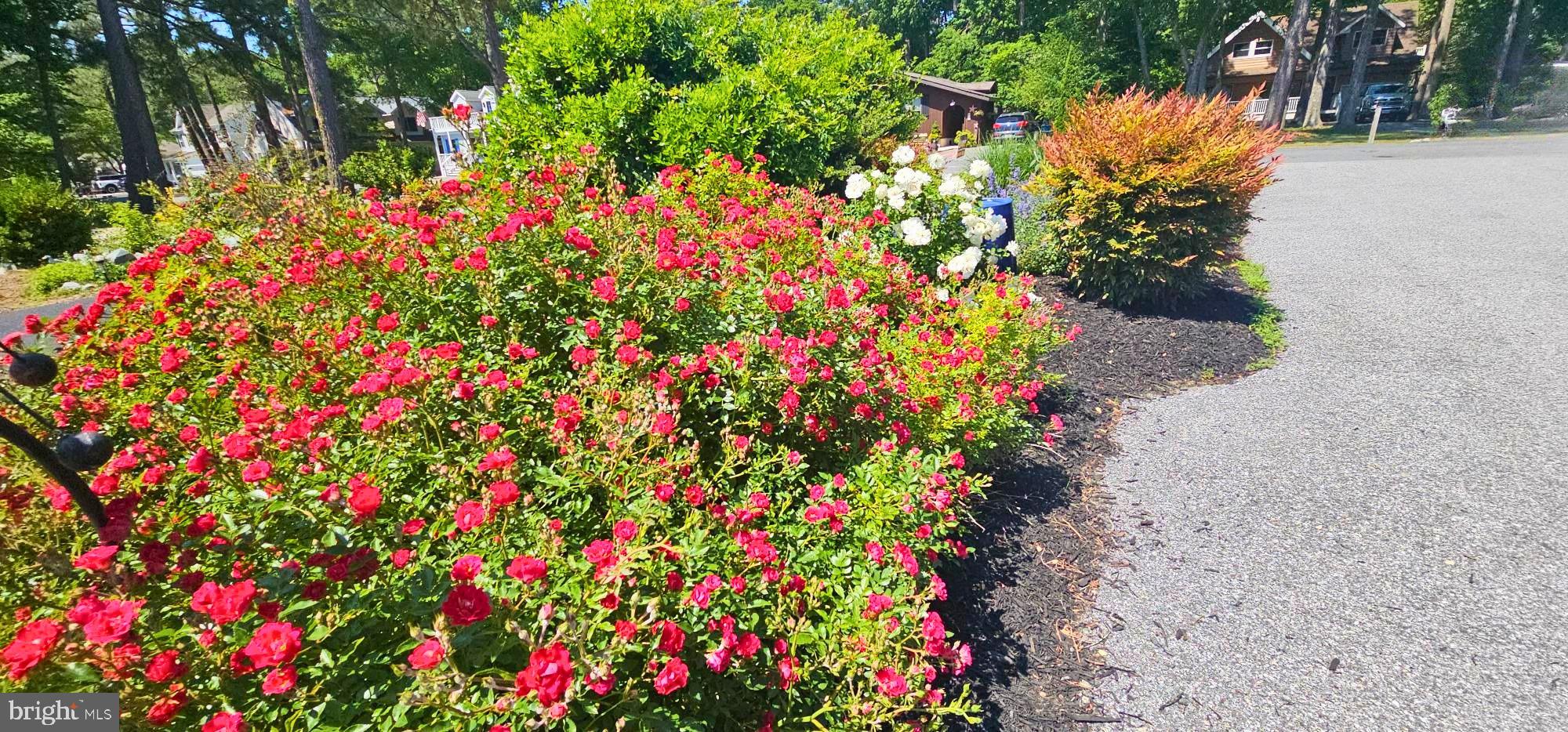 OCEAN PINES - NANTUCKET - Residential