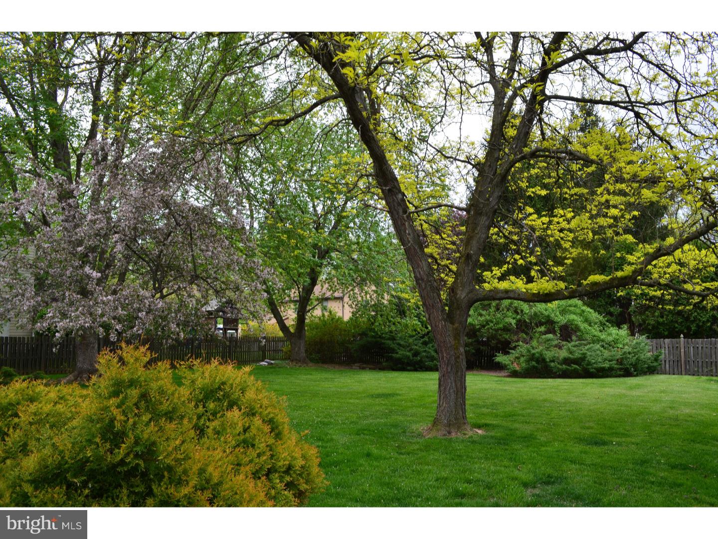 VILLAGE SHIRES - Residential