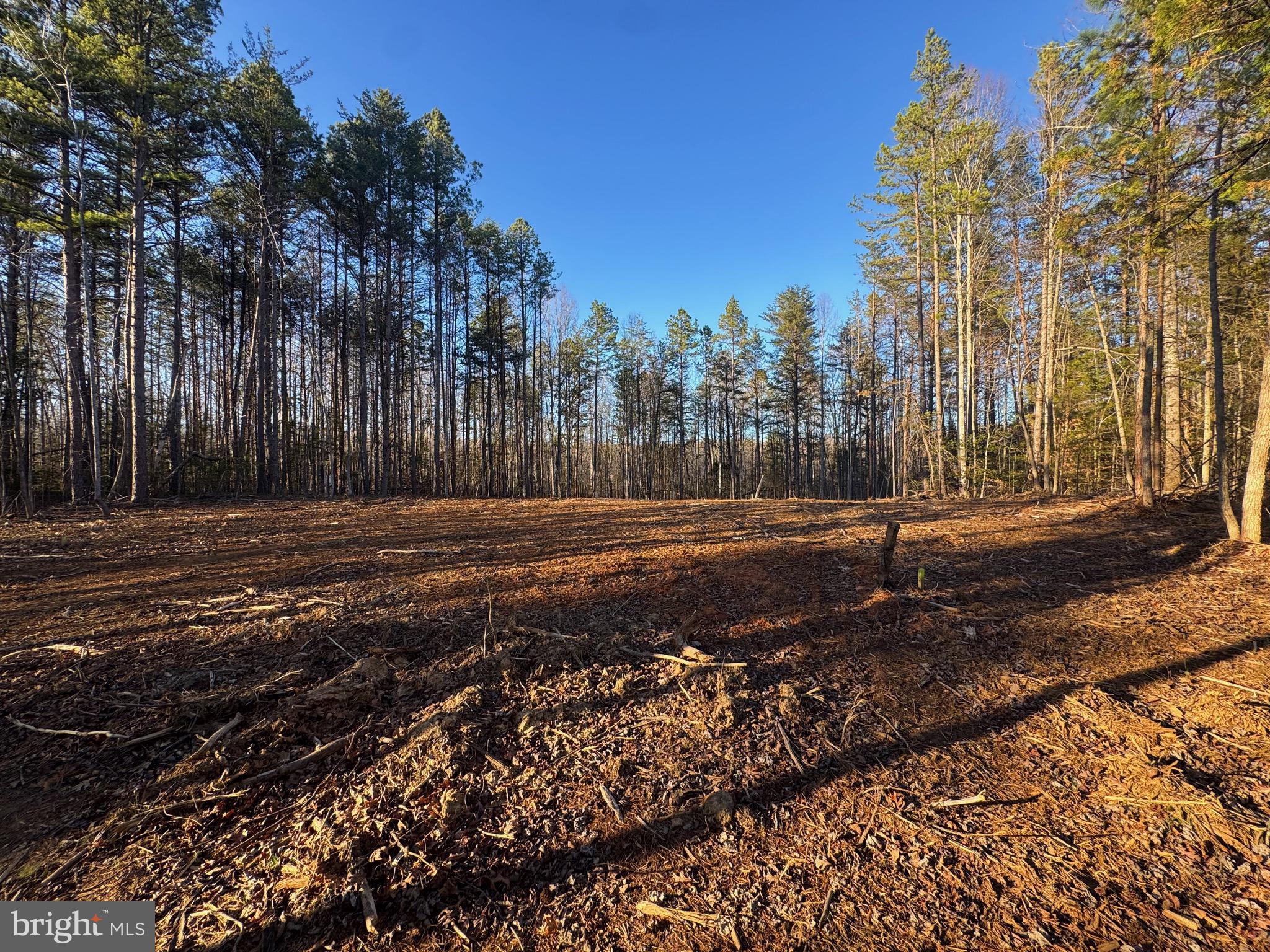 541 EQUESTRIAN LANDING TRAIL