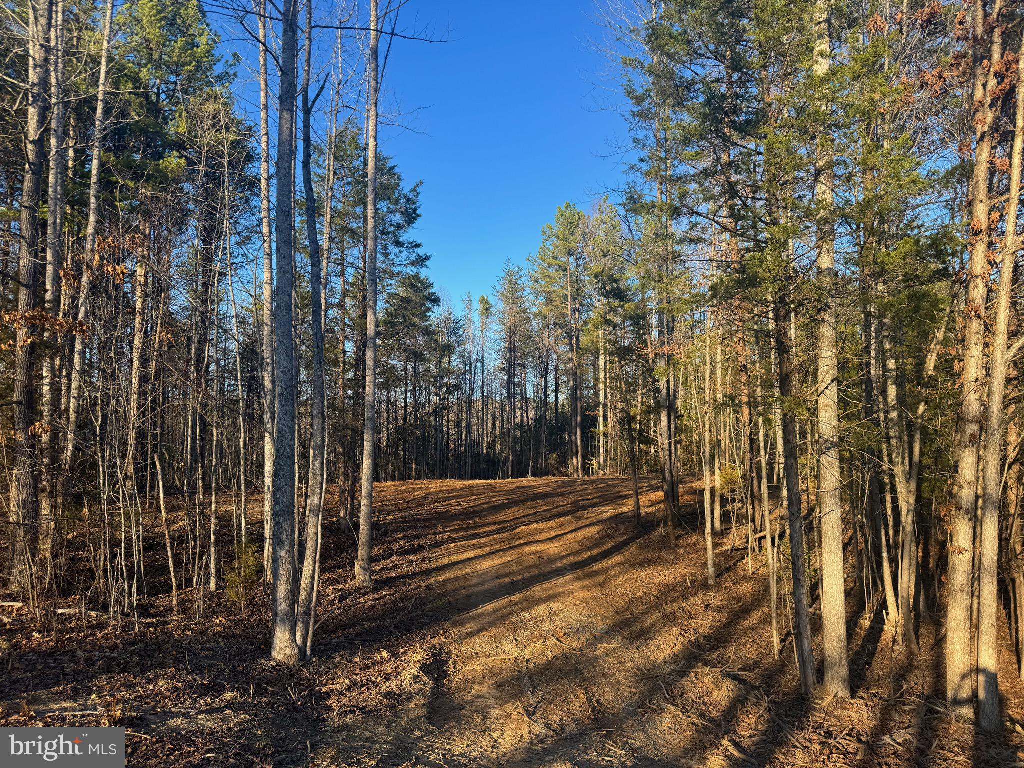 541 EQUESTRIAN LANDING TRAIL