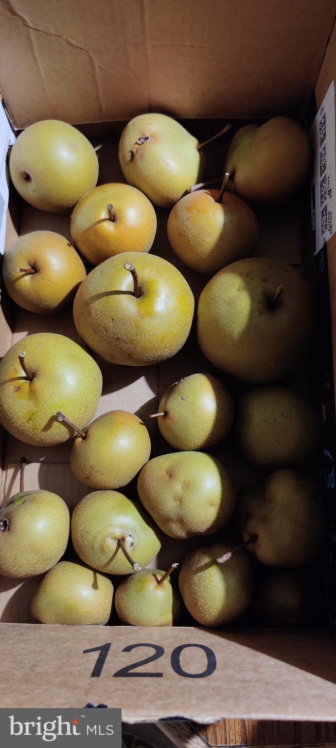 PINEY GLEN VILLAGE - Residential