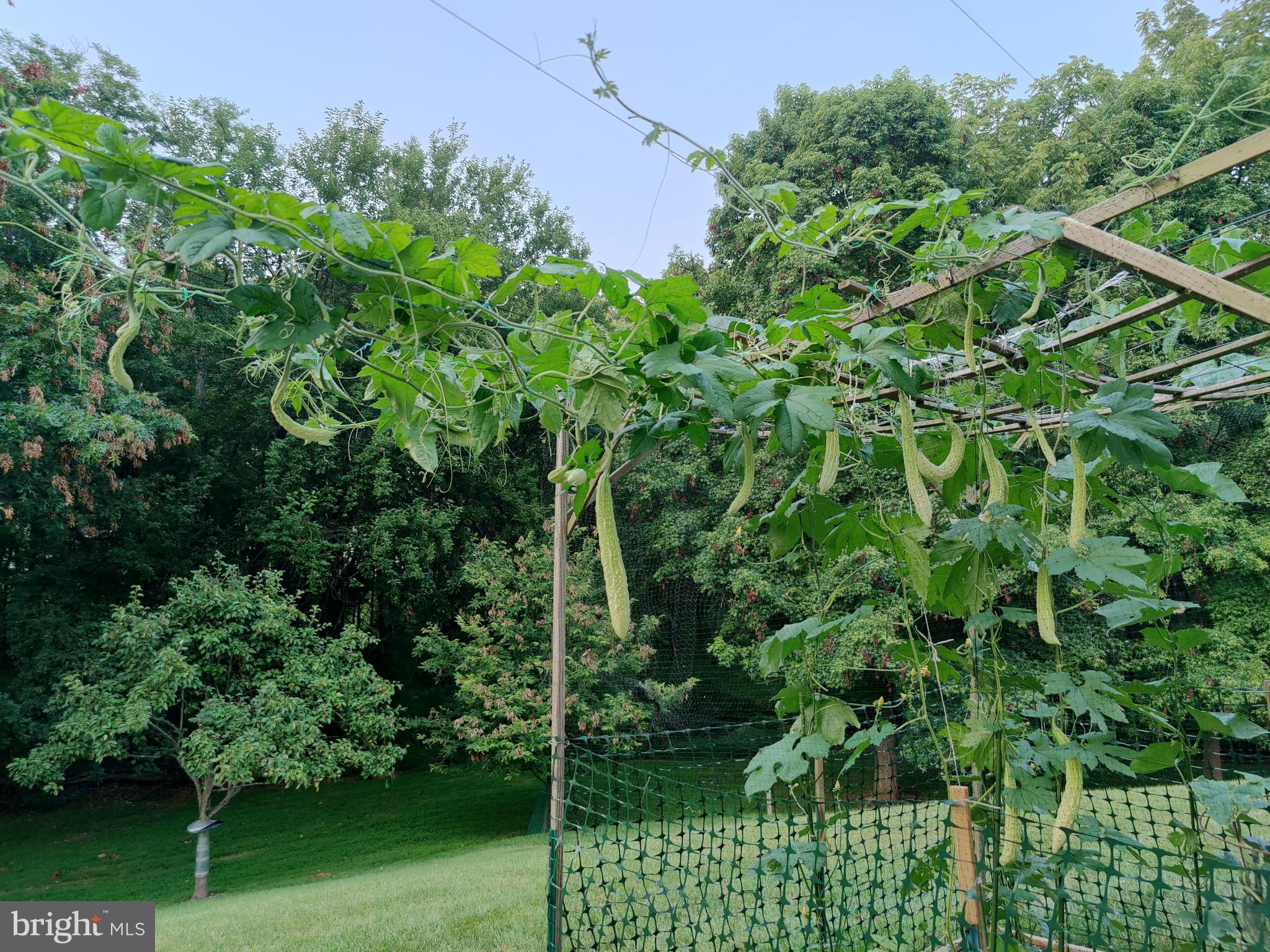 PINEY GLEN VILLAGE - Residential