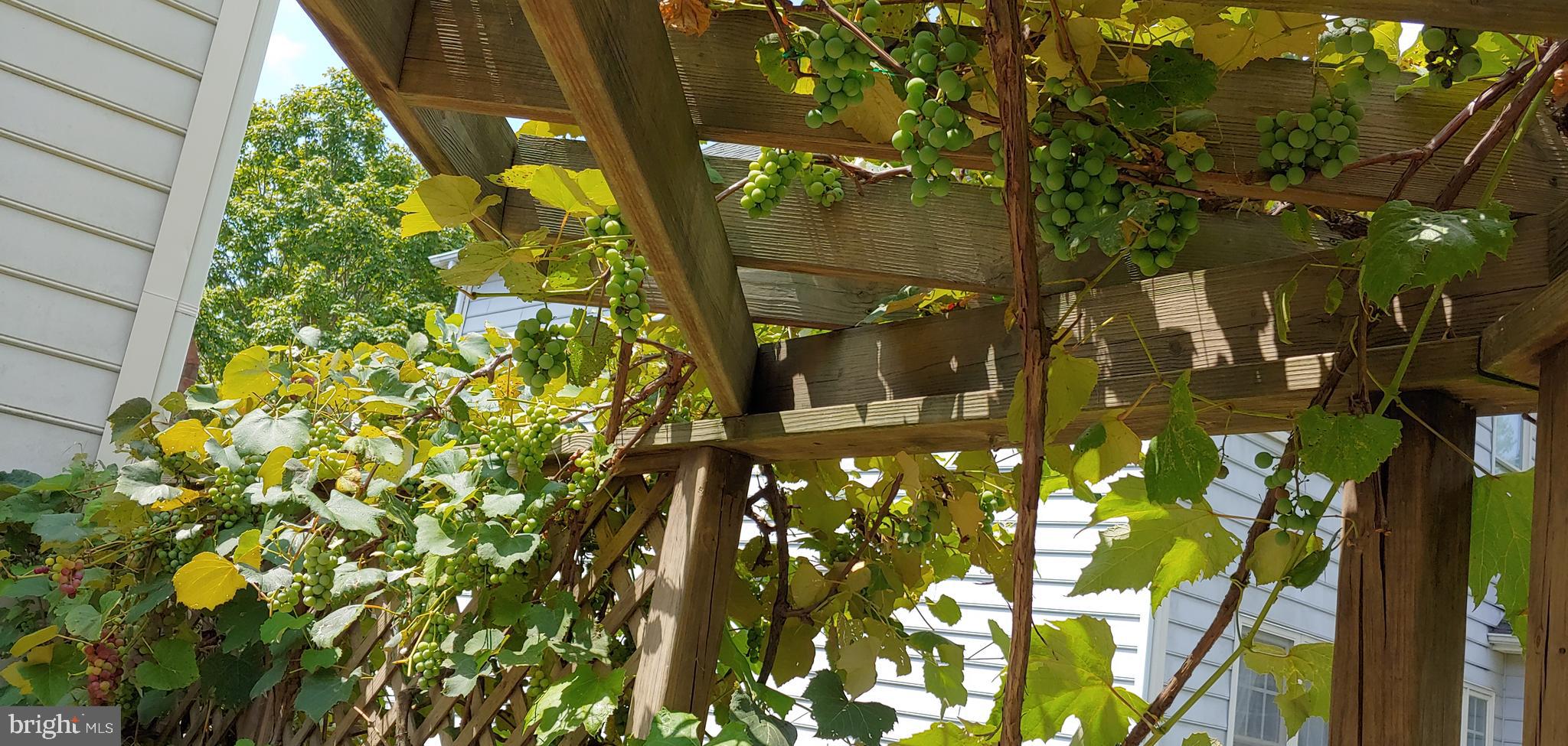 PINEY GLEN VILLAGE - Residential