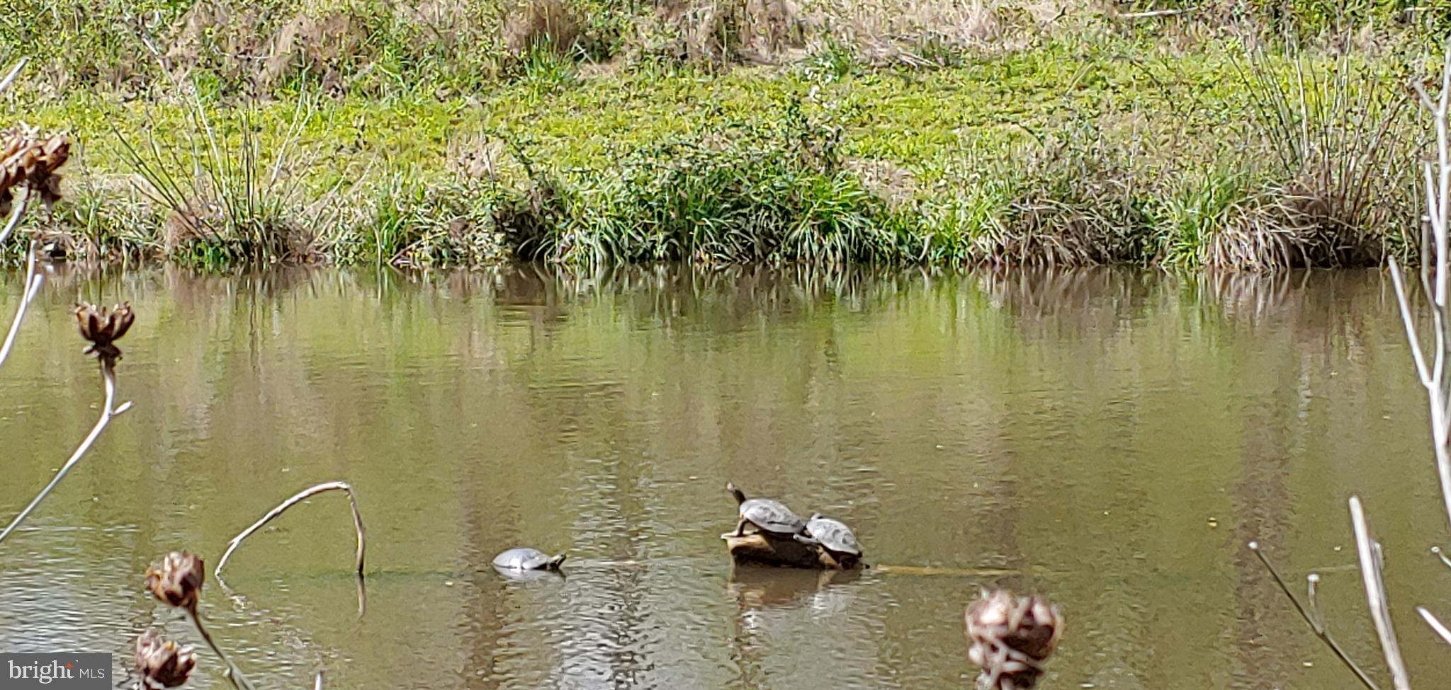 PINEY GLEN VILLAGE - Residential