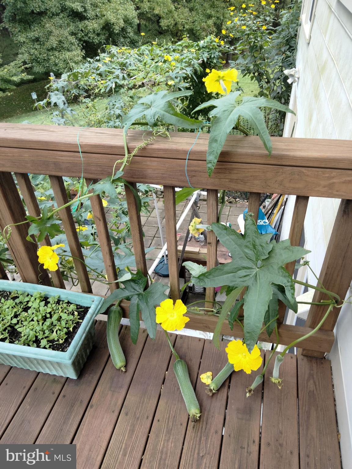 PINEY GLEN VILLAGE - Residential