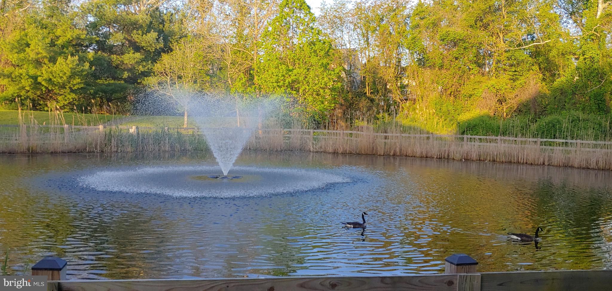 PINEY GLEN VILLAGE - Residential