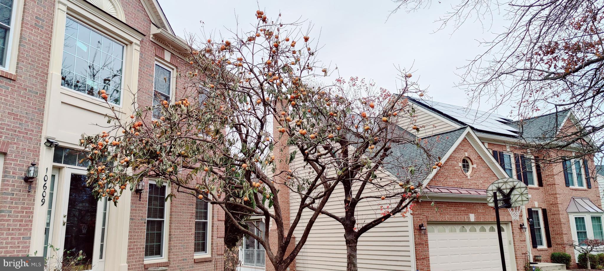 PINEY GLEN VILLAGE - Residential