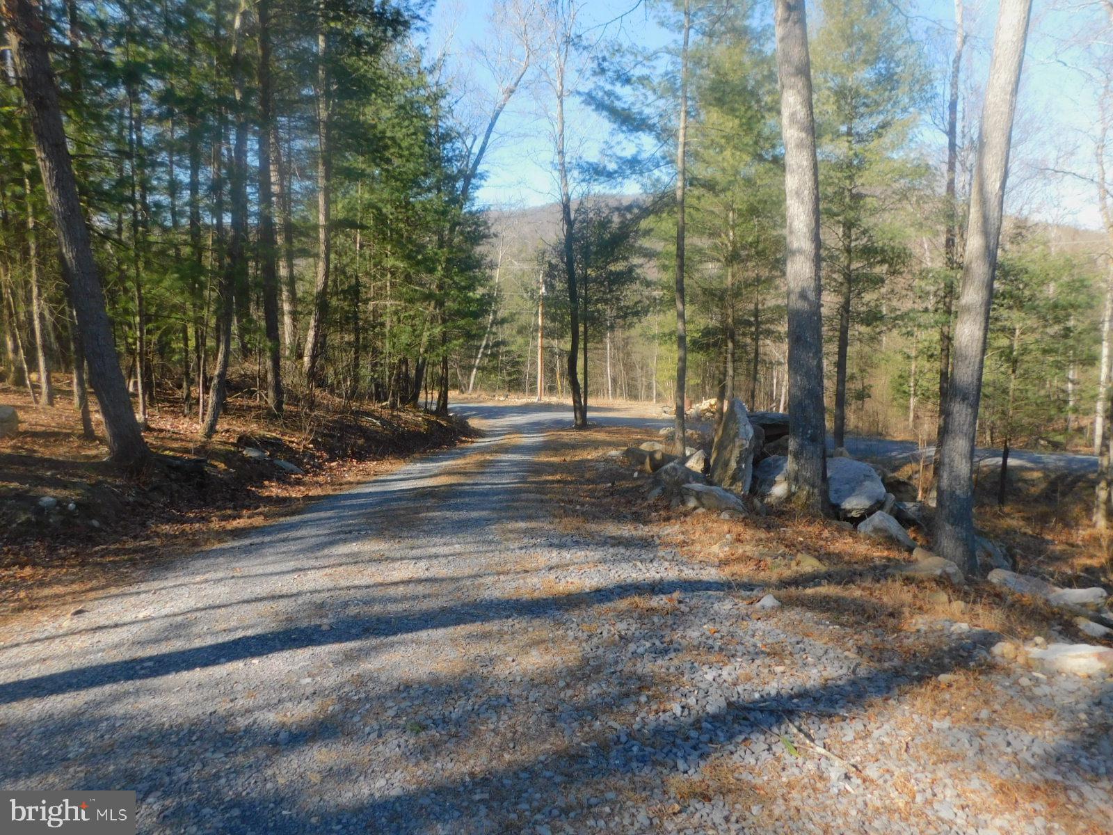 TROUT RUN FOREST - Residential