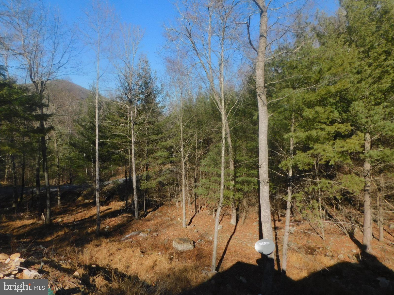 TROUT RUN FOREST - Residential