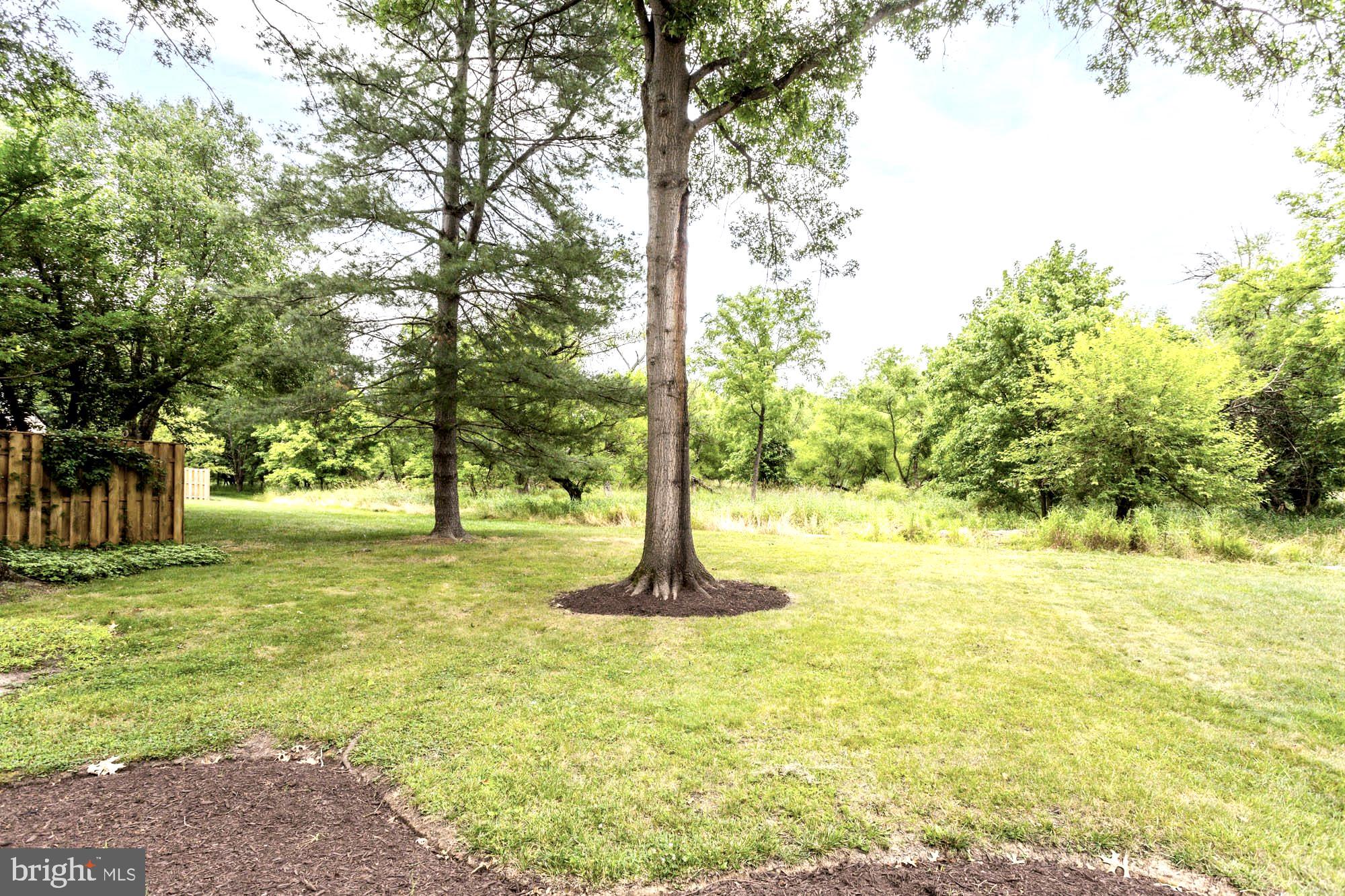 DORSEY HALL - Residential