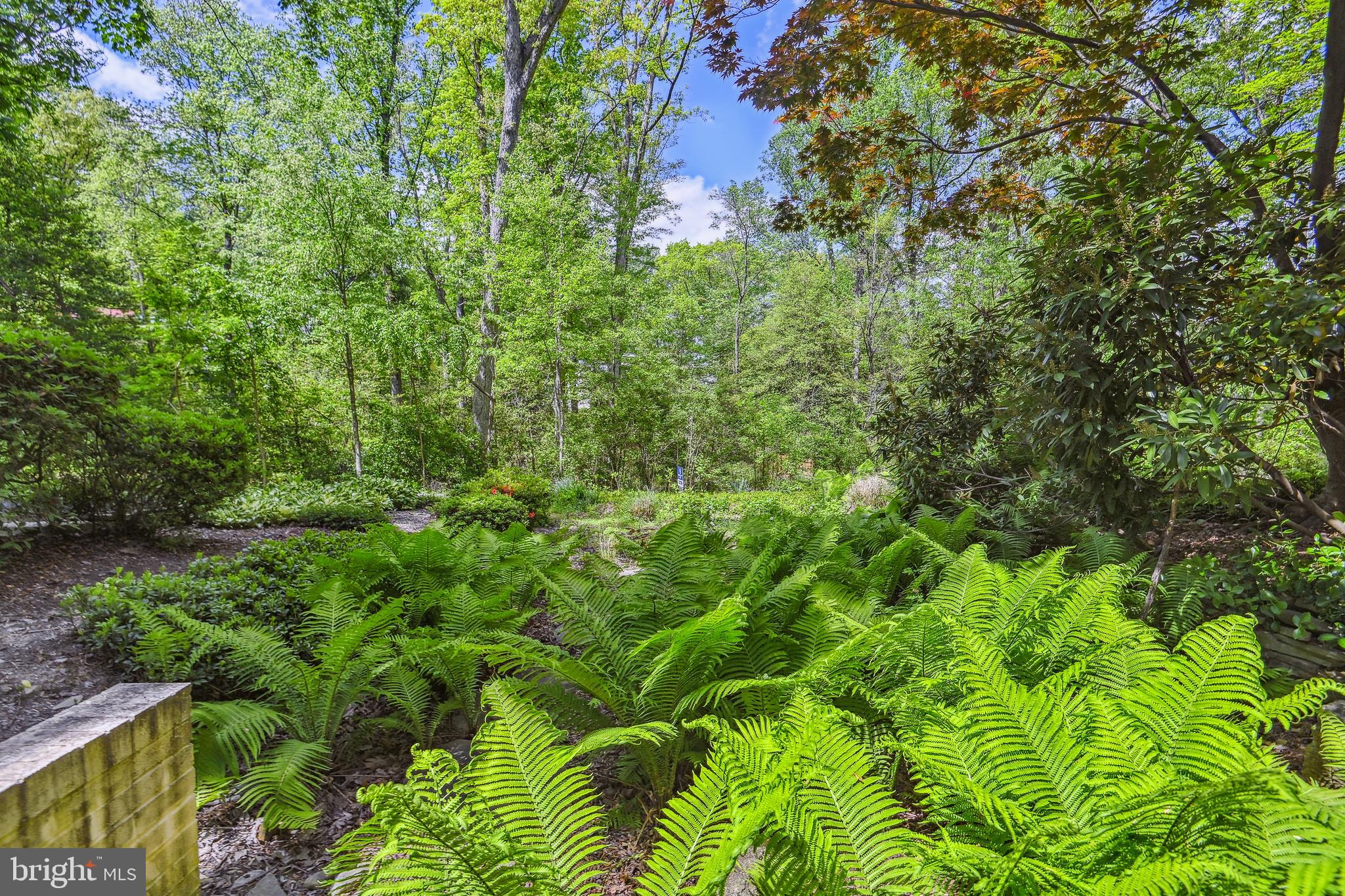 WATERVIEW CLUSTER - Residential