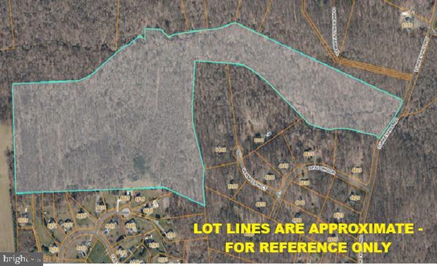 66.74 Acres +/- Vacant Land off Turkey Hill Road, La Plata, MD. Zoned RC - Rural Conservation. Sale includes 50' ROW (Approximately 3.12 Acres - Tax ID #06-047874) which Provides Access to Turkey Hill Road. Tract is Located within Septic Tier 3.  Environmental Features on Site Reduce Buildable Acreage to Approx. 40 Acres.  ENDLESS OPPORTUNITIES FOR RECREATIONAL LAND, SINGLE HOME SITE OR POTENTIAL SUBDIVISION.