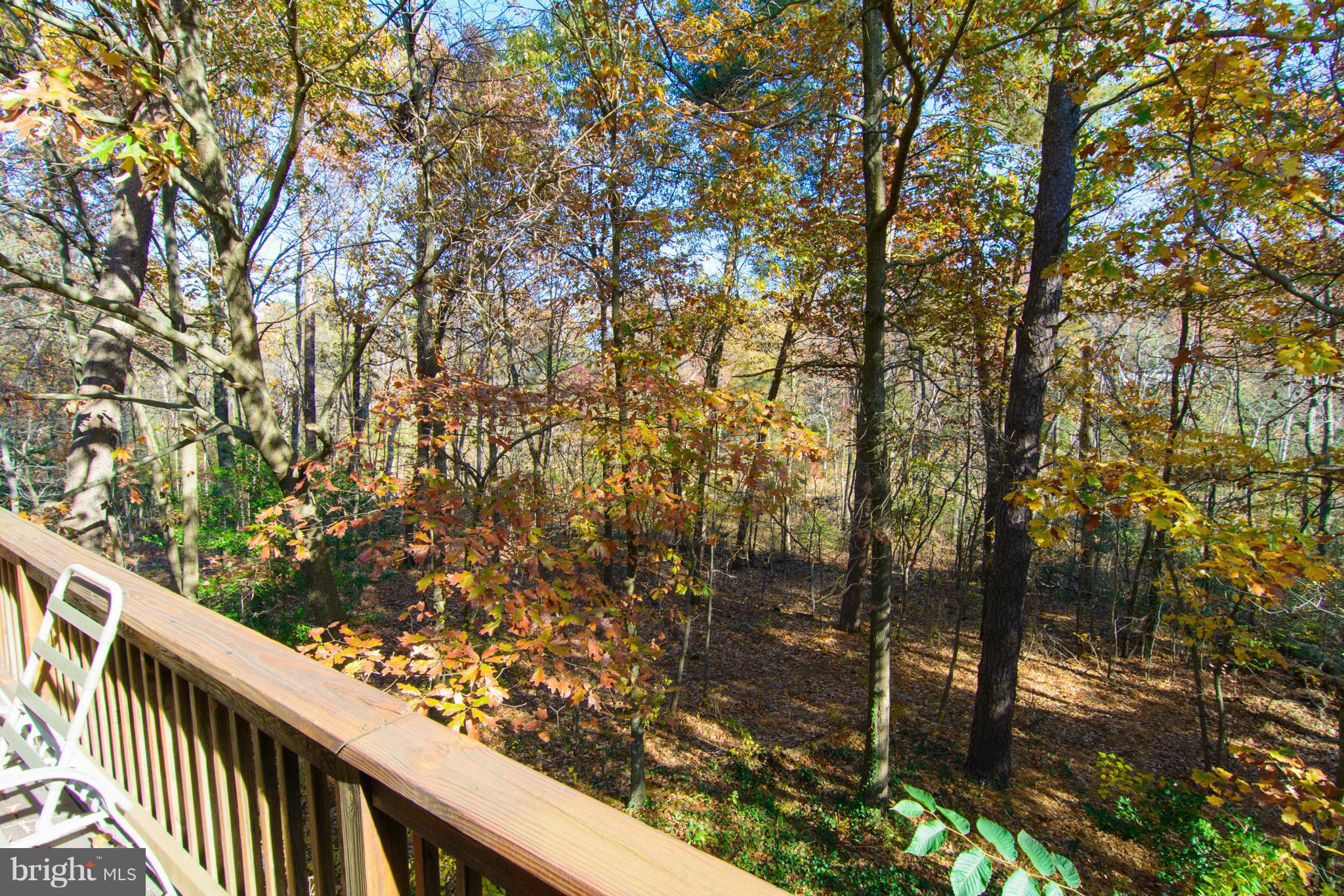 ASPEN PARK - Residential