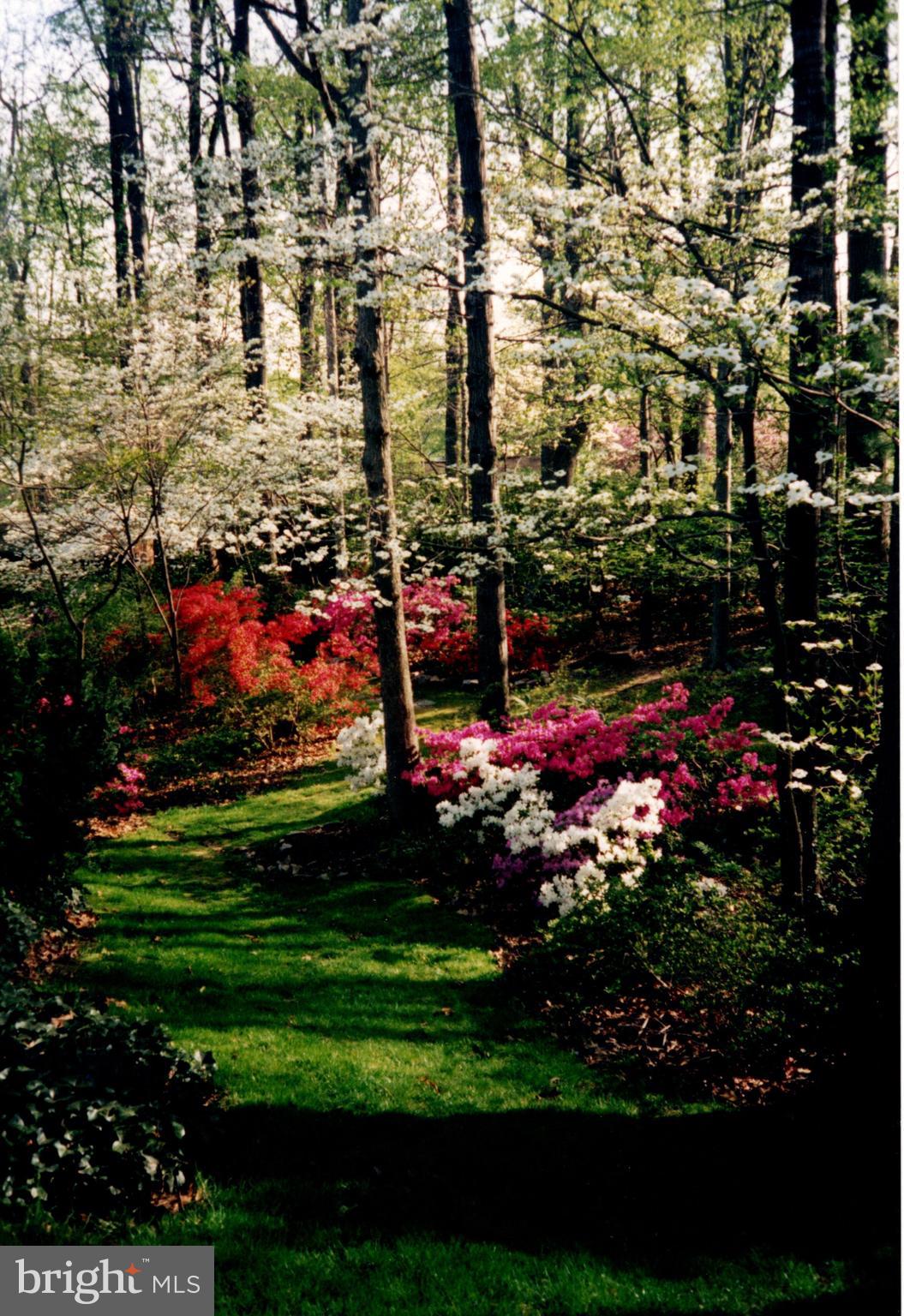 WINTERSET - Residential