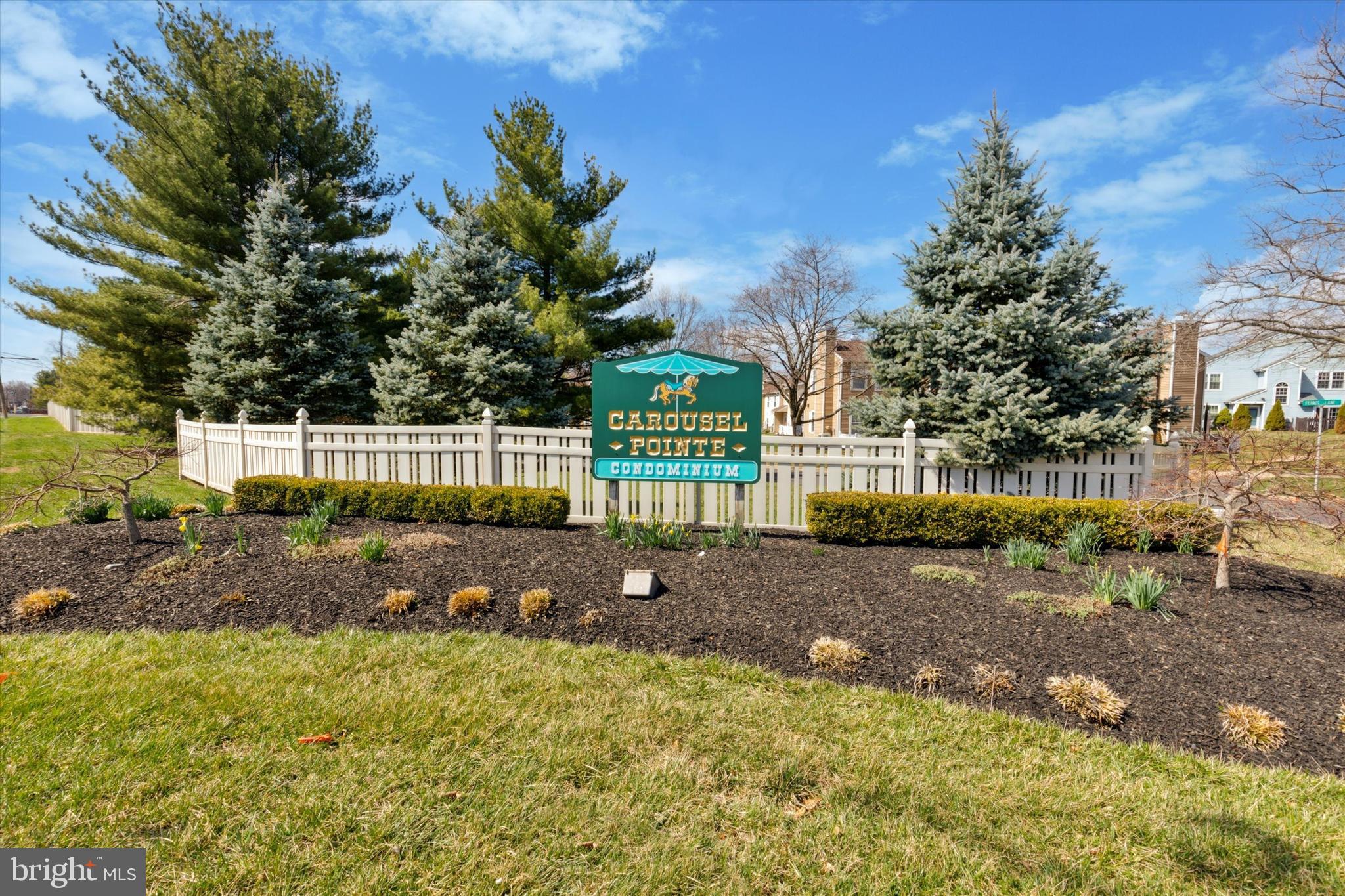 CAROUSEL POINTE - Residential