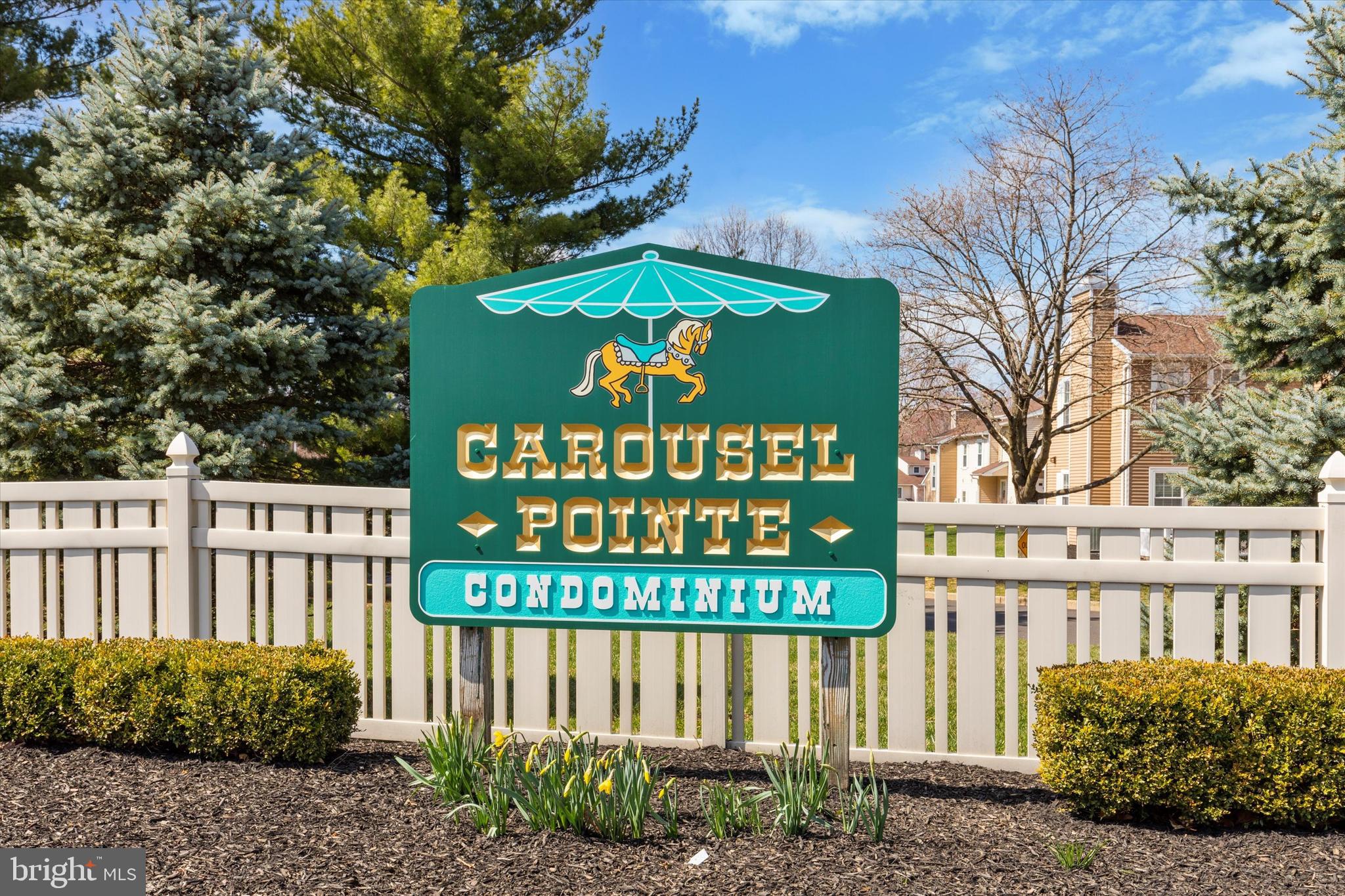 CAROUSEL POINTE - Residential