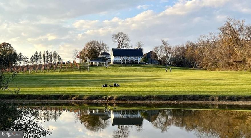 Loudoun County wineries don't come up for sale too often, so I'm happy to represent The Barns at Hamilton Station with an additional parcel located in Purcellville. There are a total of 9 acres of vineyard spread over two parcels. The parcels are not contiguous. This was originally a dairy farm built in 1910 and it's been transformed into a gorgeous tasting room, residence, and hospitality property. 
💲Cash flow positive
🍷Award winning wine
🏠 Residence on site - farmhouse with 2 beds, 1.5 bath converted. Originally it had 4 beds. 
🚜 Barn & tasting room & weddings
🛖 Out buildings 
💧Beautiful pond
Out buildings consist of:
 - Second historic dairy barn that can be converted into a complete event venue
 - Small building with catering kitchen
 - 2 large storage buildings partially temperature controlled for wine storage
 - Original Outhouse that still works!
Second parcel of land in Purcellville with vineyard and spacious dry barn complete with electric. Total acreage of both parcels approx. 27 acres. Price includes real property, vineyards, wine inventory, farm equipment, furniture and fixtures, brand, social media, website, intellectual property. 
Owners are looking to retire and move onto their next chapter. Tons of growth potential!